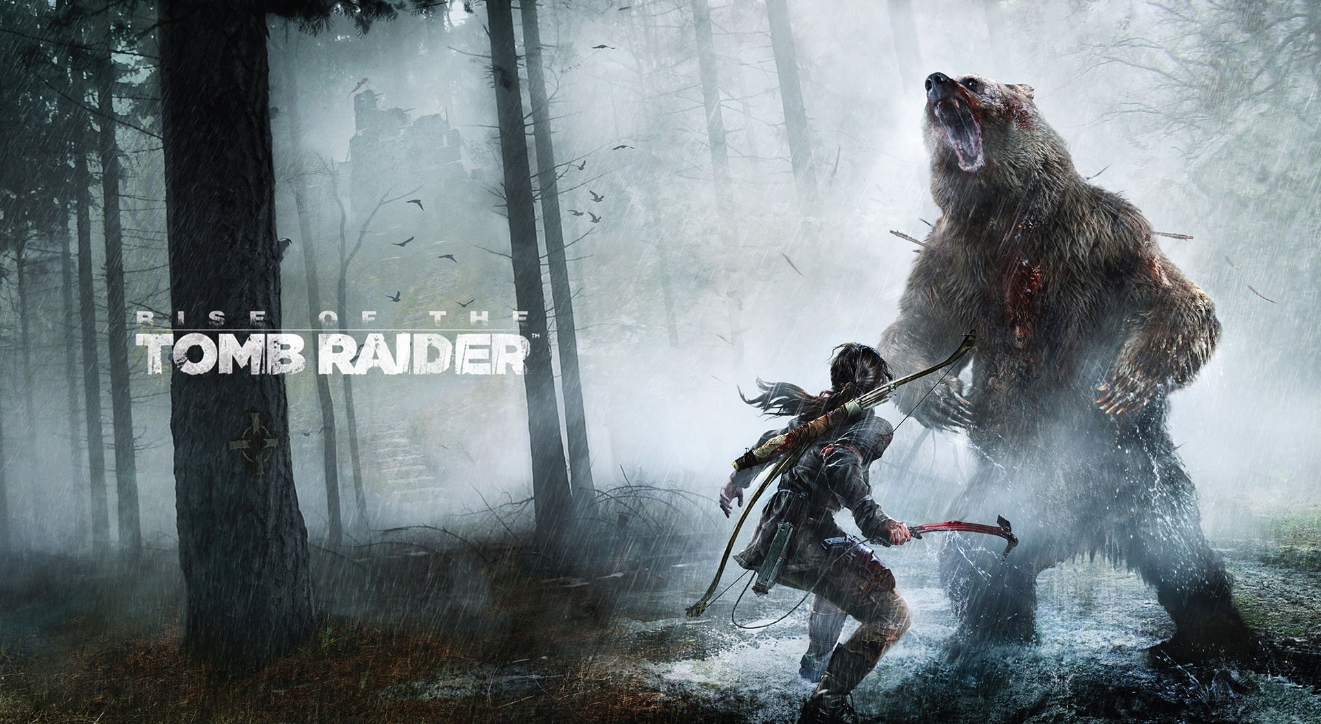 mammal, tom, domestic animals, raider, rise, animal wildlife, text, tomb, Tomb Raider, Games, outdoors, day, 1080P, mode of transportation, HD Wallpaper