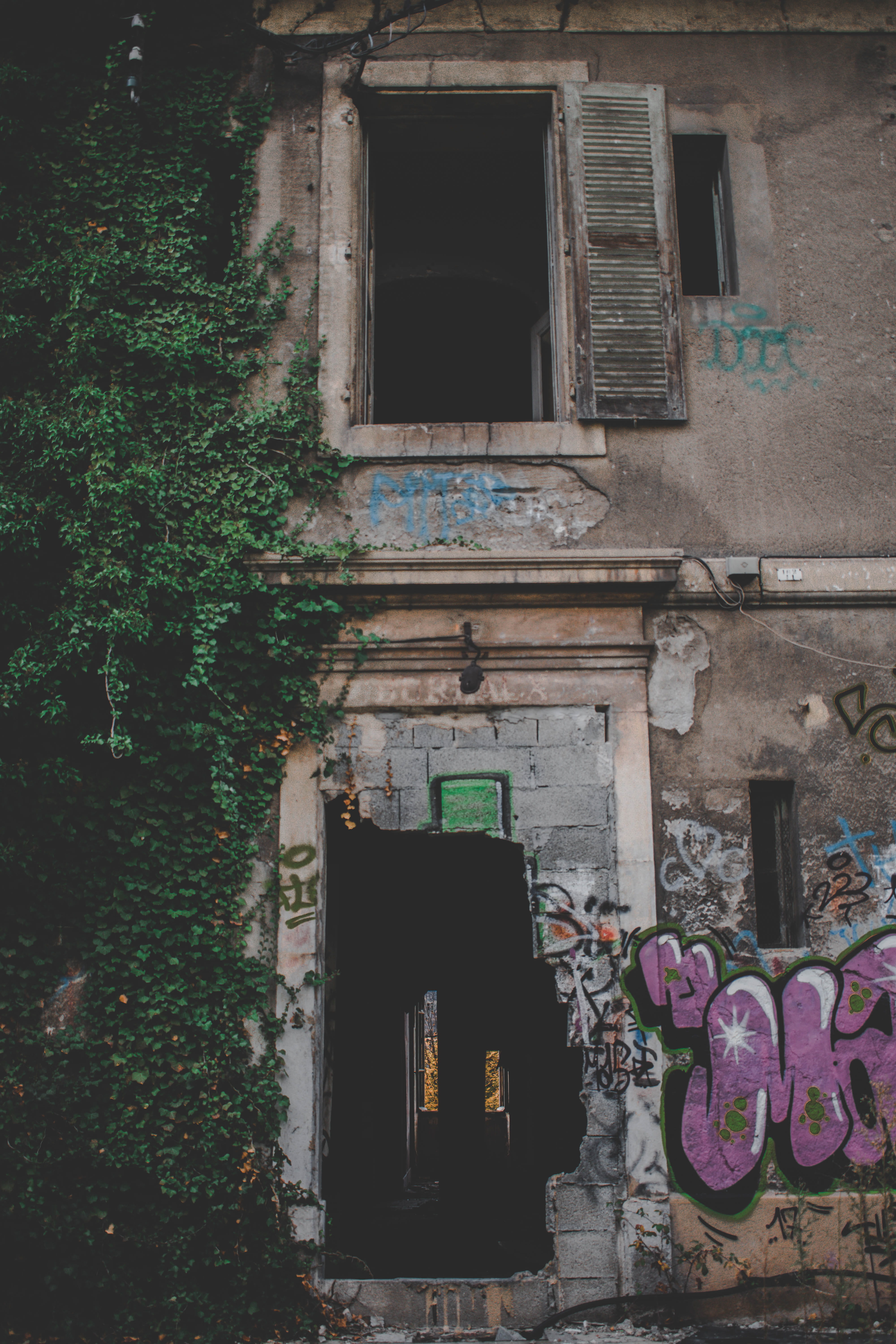 abandoned house, 5K, architecture, home decor, urban, text, growth, plant, mural, abandoned, art, house, built structure, building exterior, outdoors, Phone HD Wallpaper