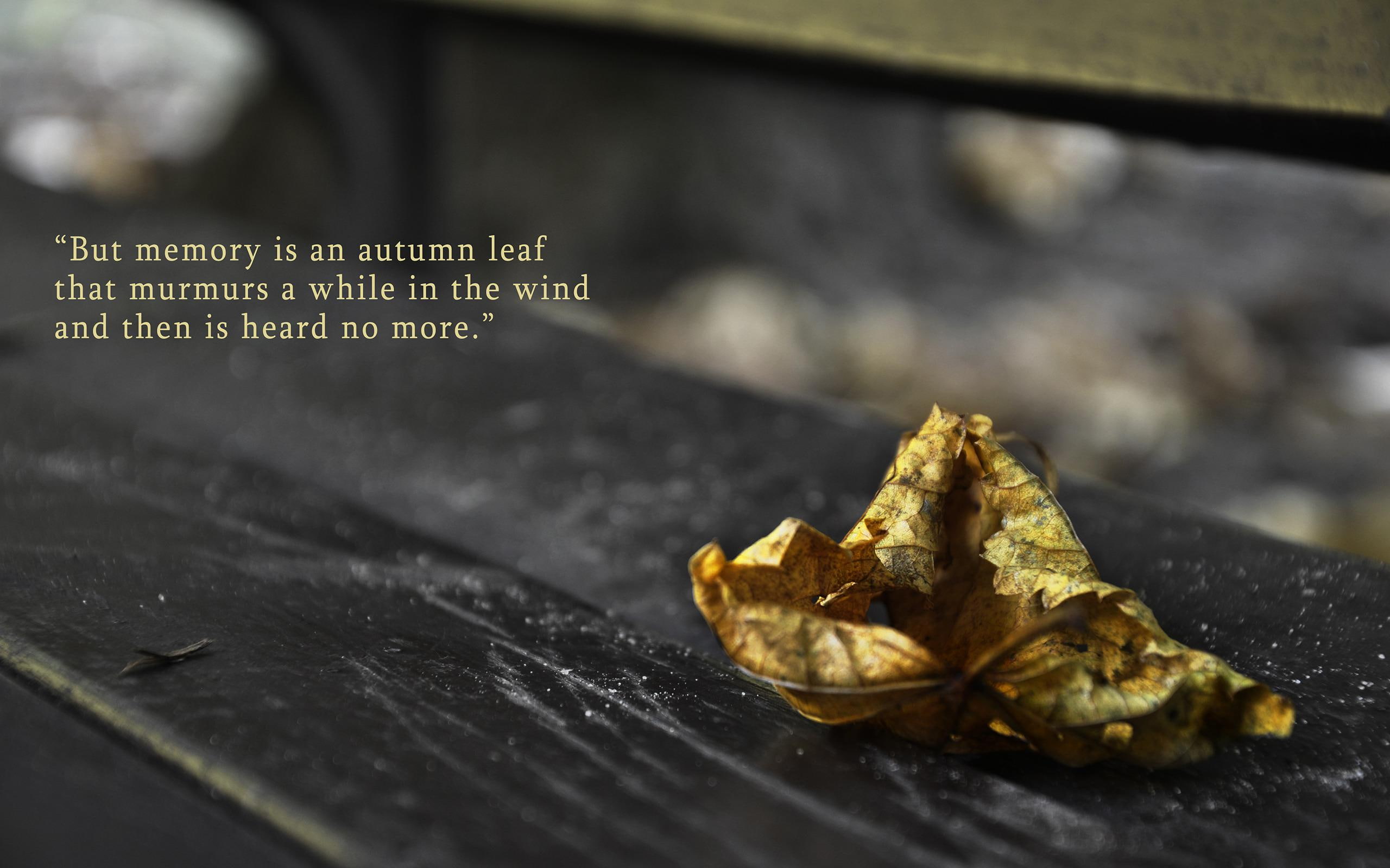 leaf, memory, quote, autumn, 2K, quotes, 2560x1600, HD Wallpaper