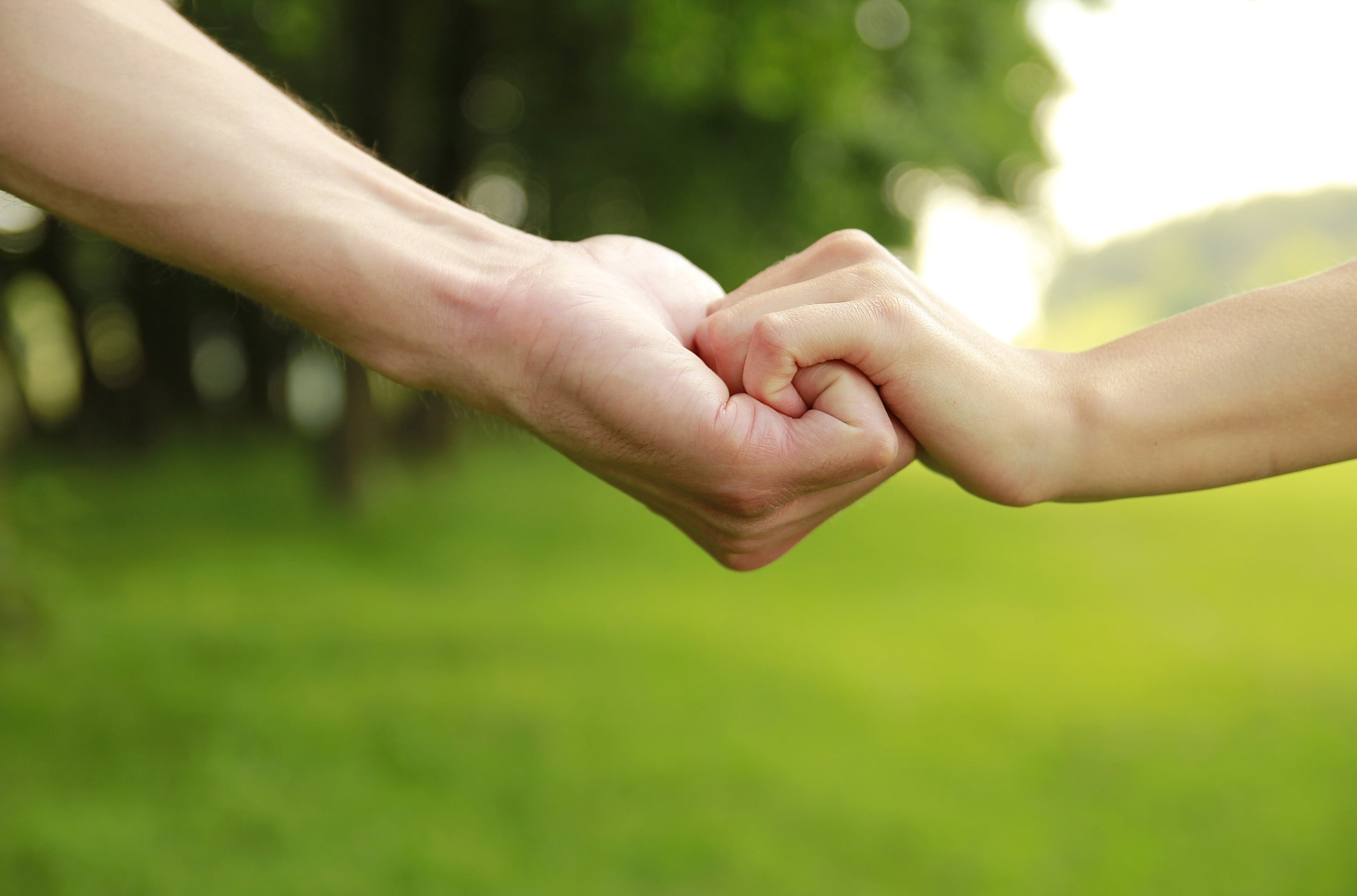 agreement, mood, finger, close-up, males, teamwork, person, adult, holding Hands, holding, grass, real people, girl, concepts, s, 2K, human Hand, HD Wallpaper