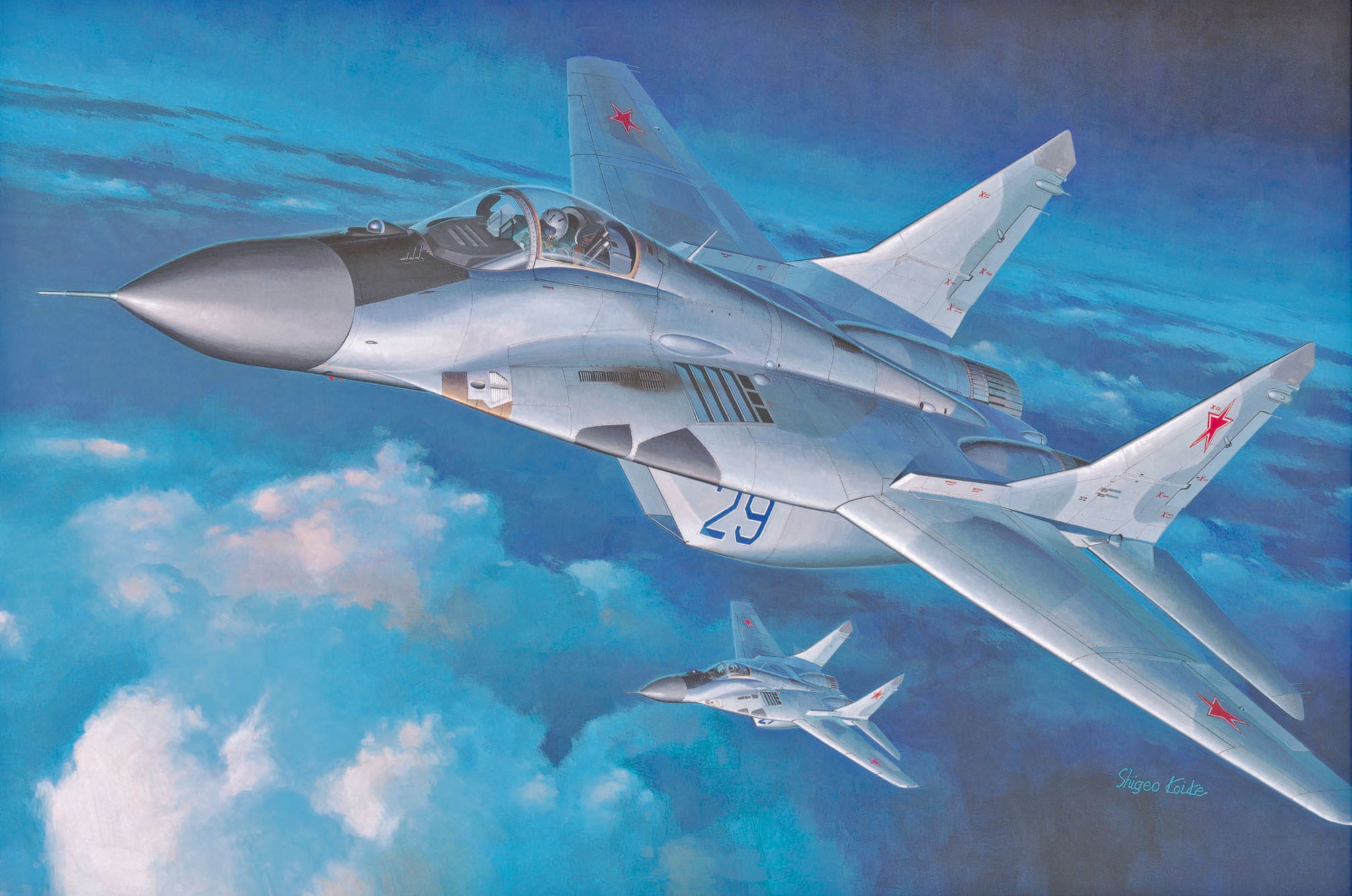 sky, The MiG-29, Of the Russian Federation., 1080P, underwater, animal, animals in the wild, marine, the plane, saltwater fish, OKB, art, painting, vertebrate, HD Wallpaper
