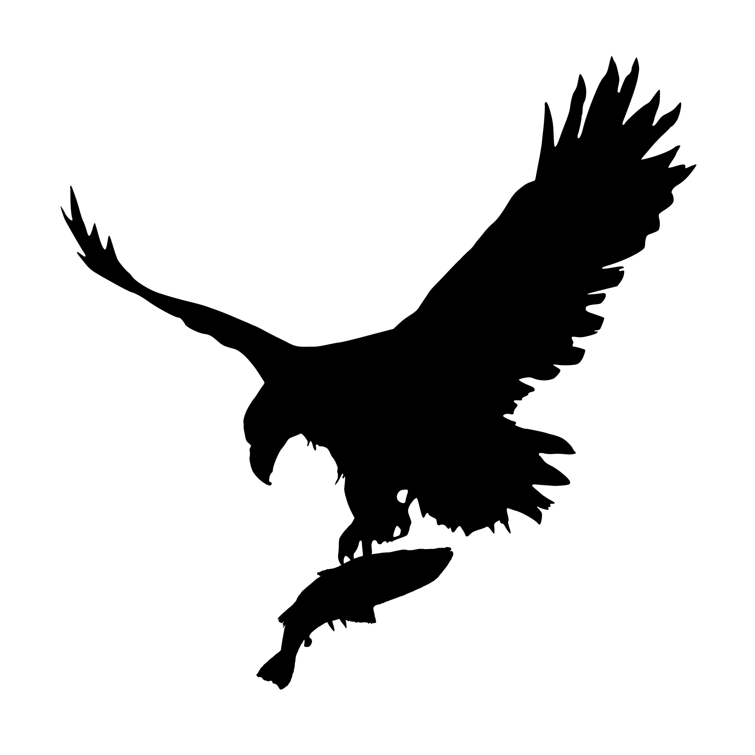talon, indoors, wildlife, success, no people, mid-air, wing, claw, mammal, eagle, flying, fishing, motion, animal wildlife, animal themes, full length, Phone HD Wallpaper