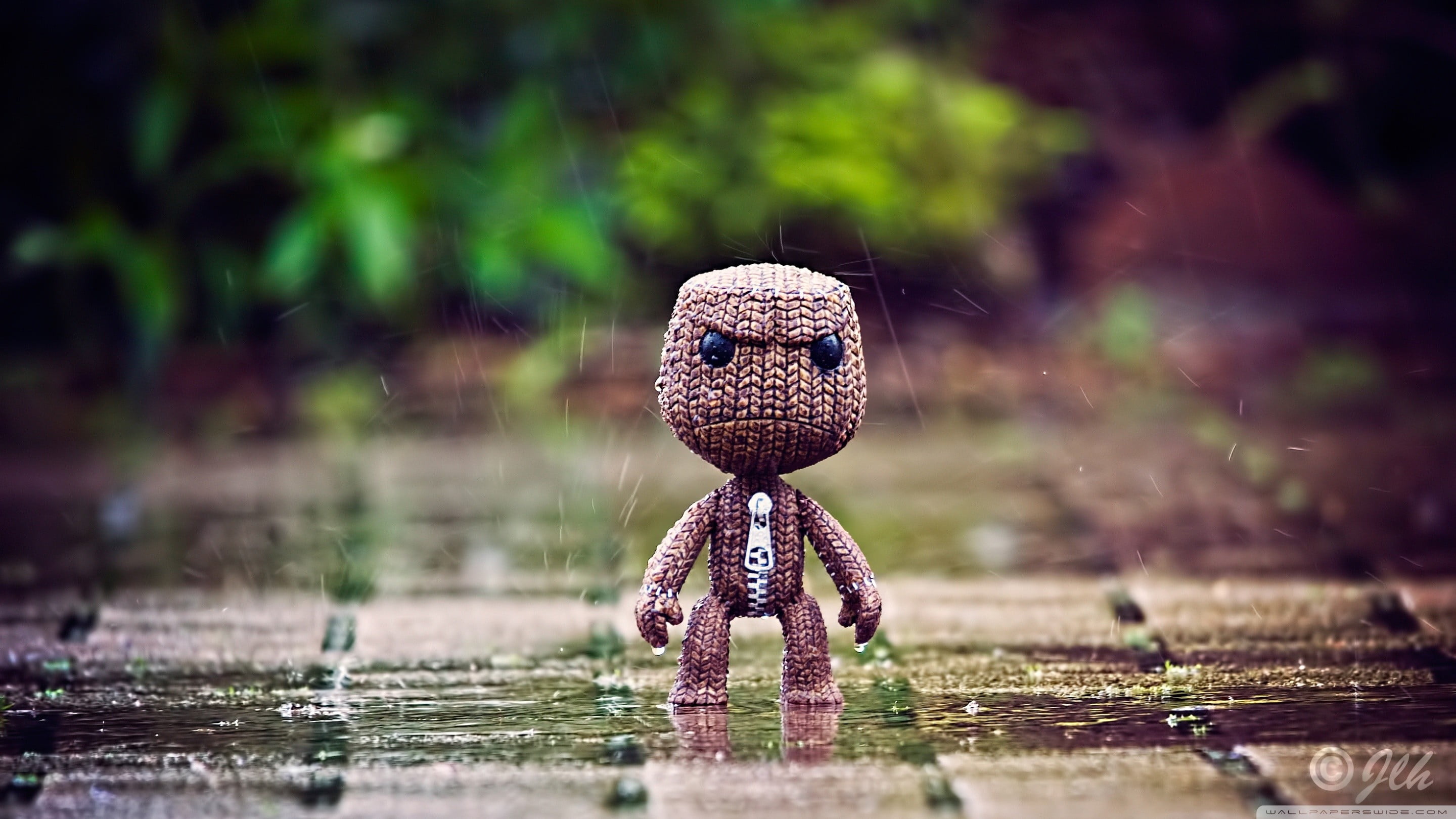 animal, rain, animal themes, close-up, humor, selective focus, water, focus on foreground, toy, no people, figure, tree, doll, motion, bird, animal wildlife, HD Wallpaper
