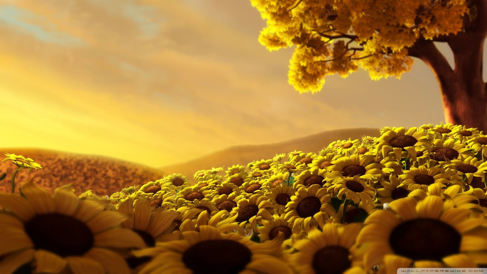 pollen, flower head, trees, scenics - nature, yellow, sunflower, flowering plant, garden, vulnerability, freshness, flowers, beauty in nature, sunflowers, HD Wallpaper