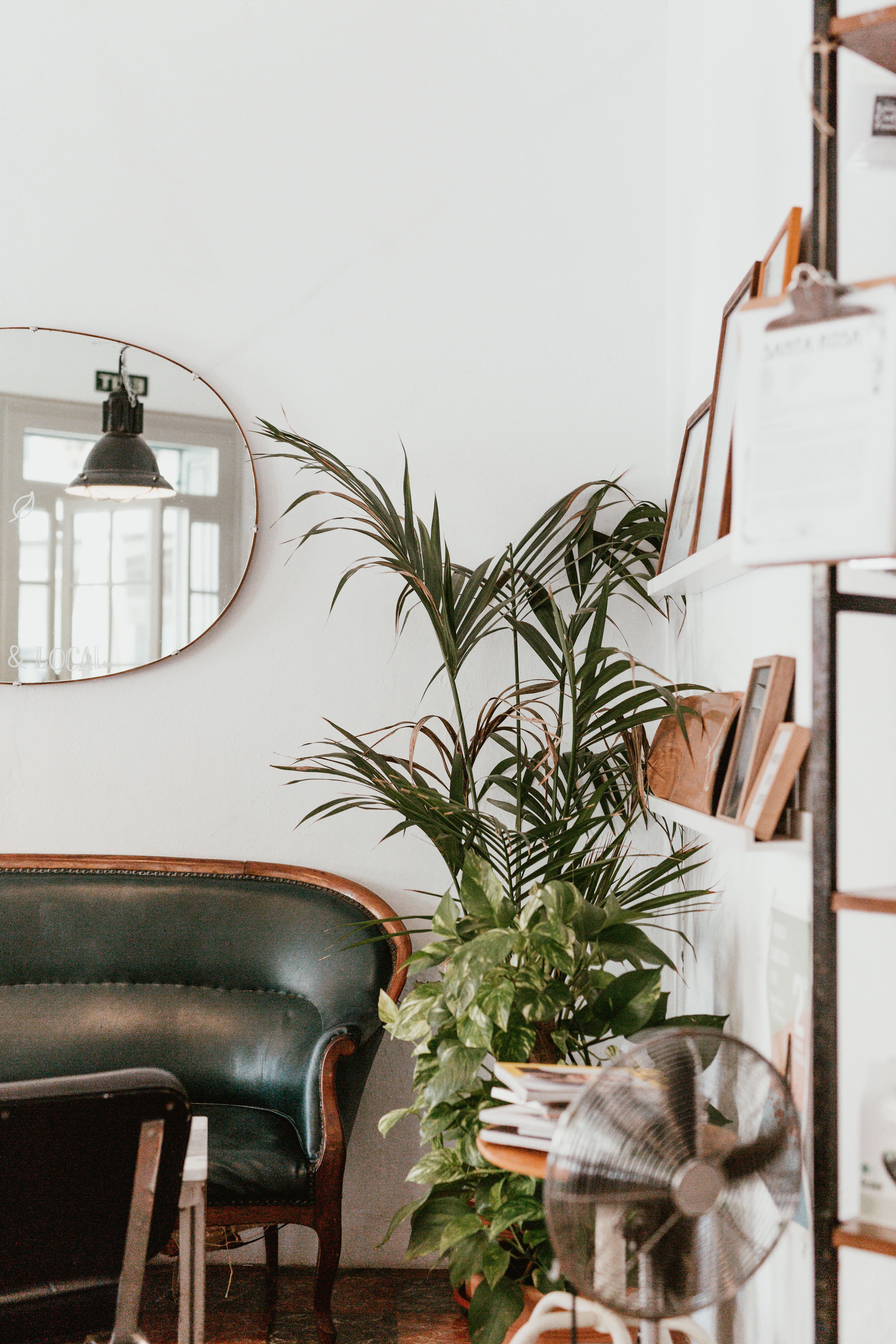 plants, minimalism, interior, electric Lamp, wood - Material, furniture, remote, modern, green, interiordesign, decor, home Interior, table, 5K, indoors, Phone HD Wallpaper