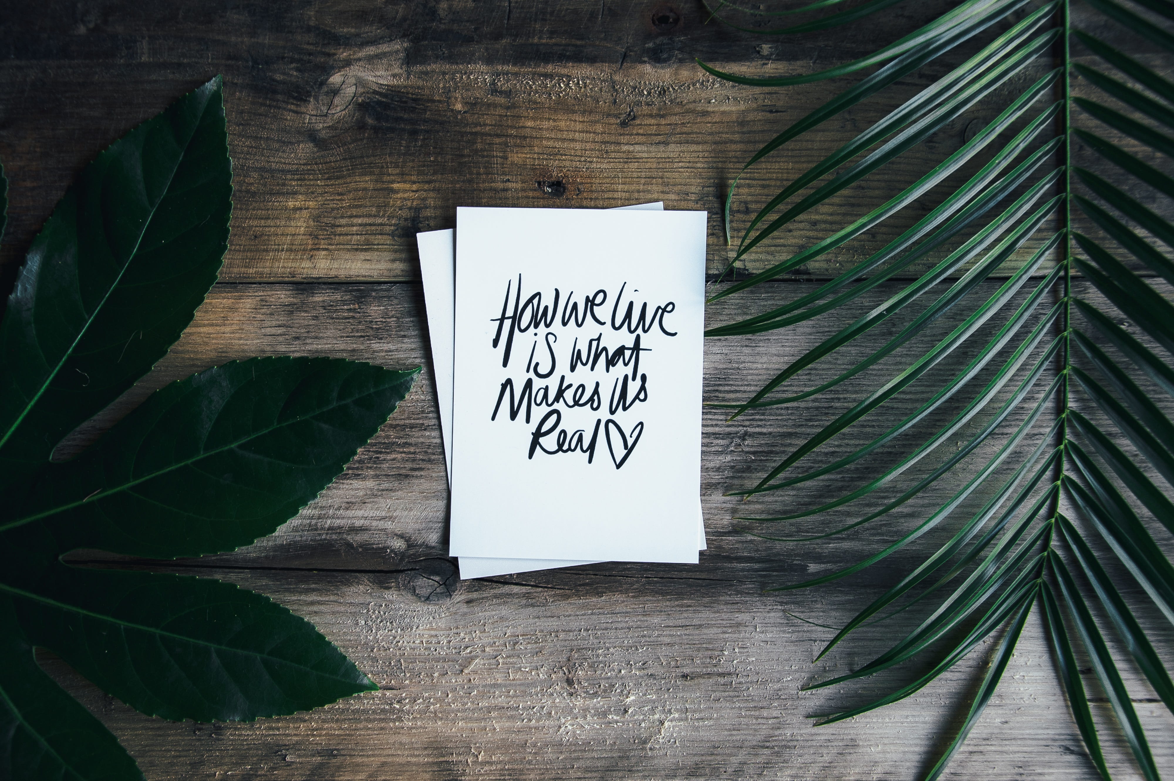 4K, flower, leaves, day, wood - material, sign, us, typography, table top, close-up, still life, information sign, western script, postcard, makes, communication, HD Wallpaper
