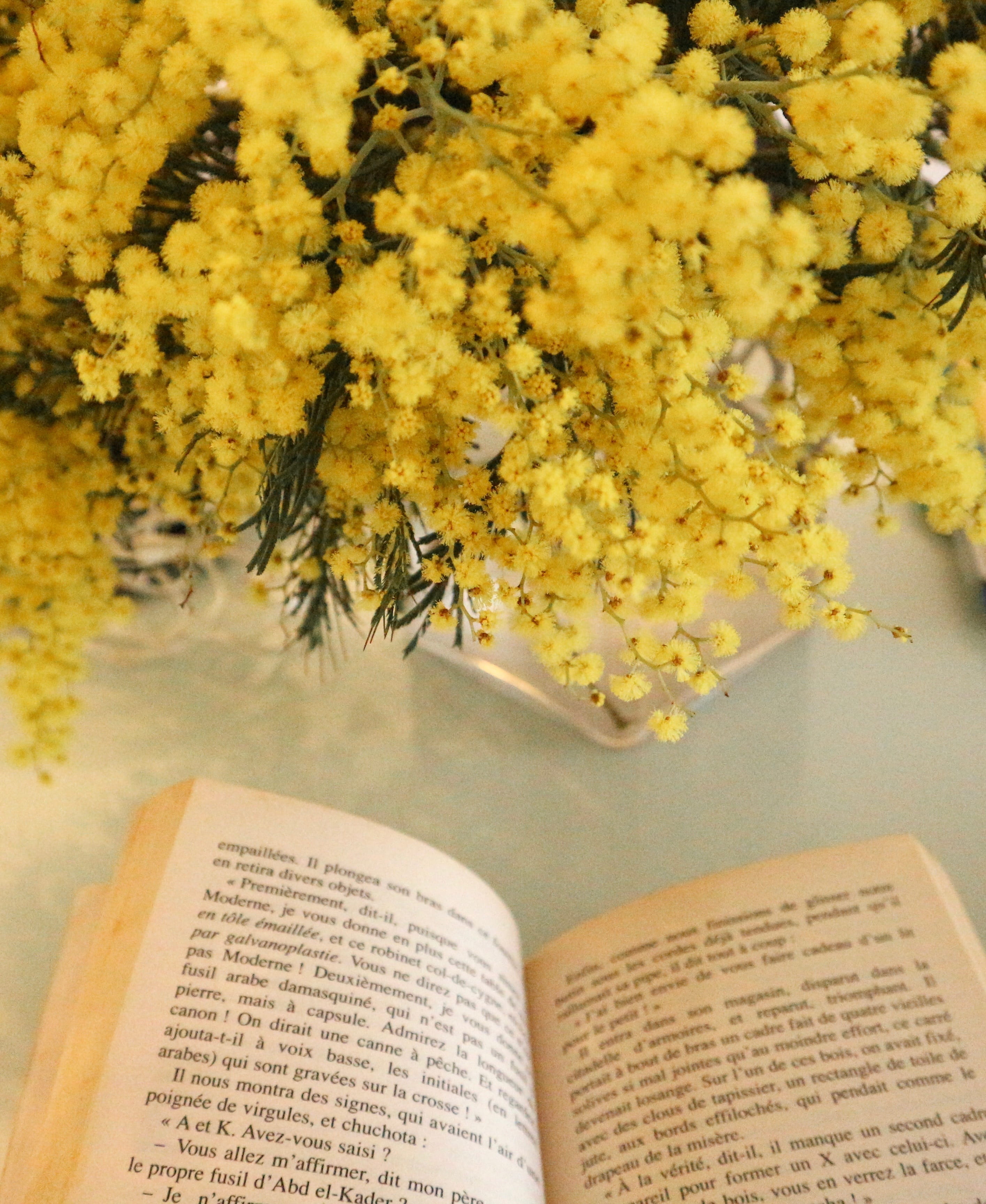 novel, flowering plant, freshness, retro, publication, change, knowledge, pages, 2K, table, flower, bouquet, page, bookstore, no people, reading, beauty in nature, Phone HD Wallpaper