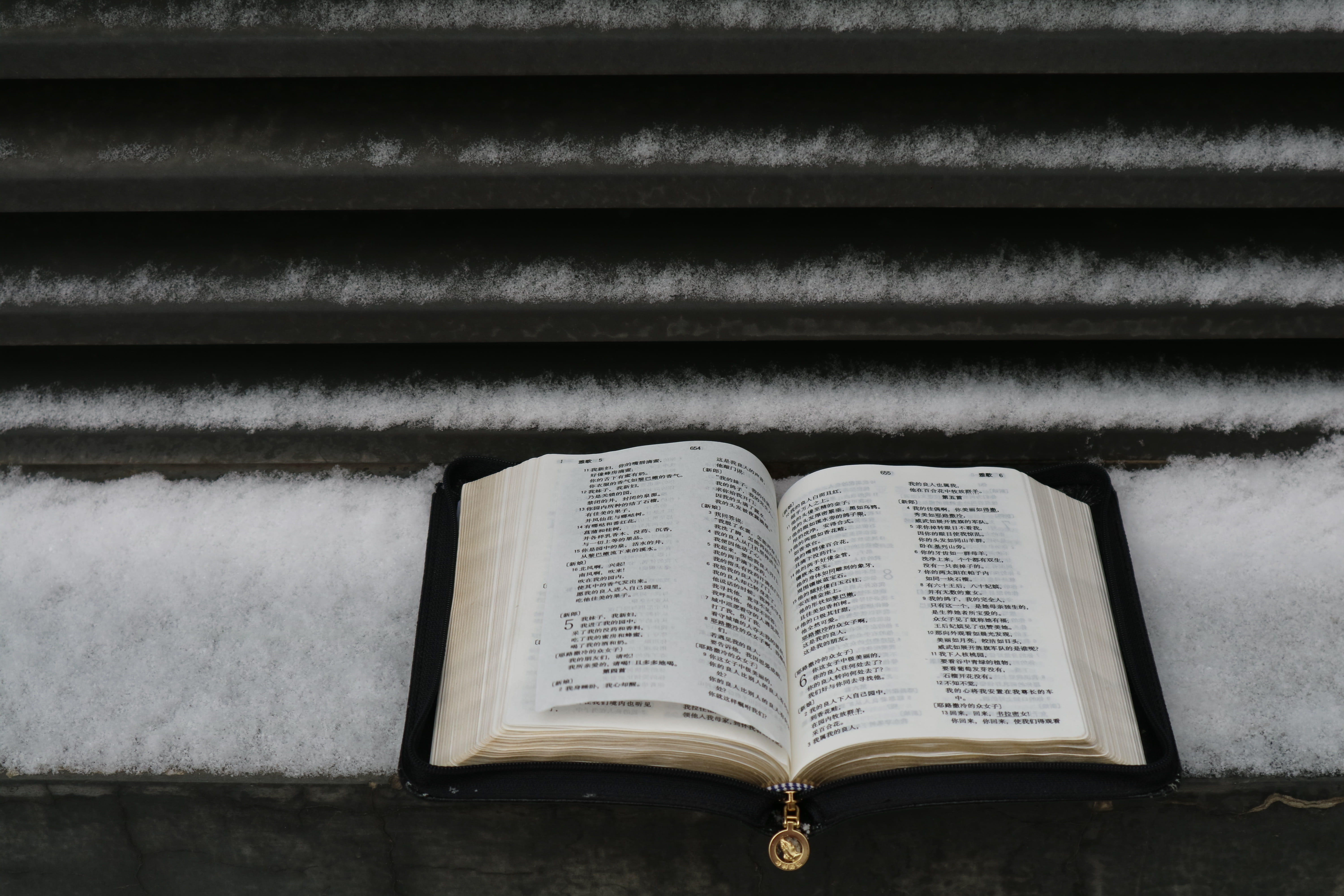 open, religious equipment, no people, jar, 5K, novel, religion, library, pottery, snow, education, plant, planter, paper, page, herbs, belief, word, crypt, HD Wallpaper