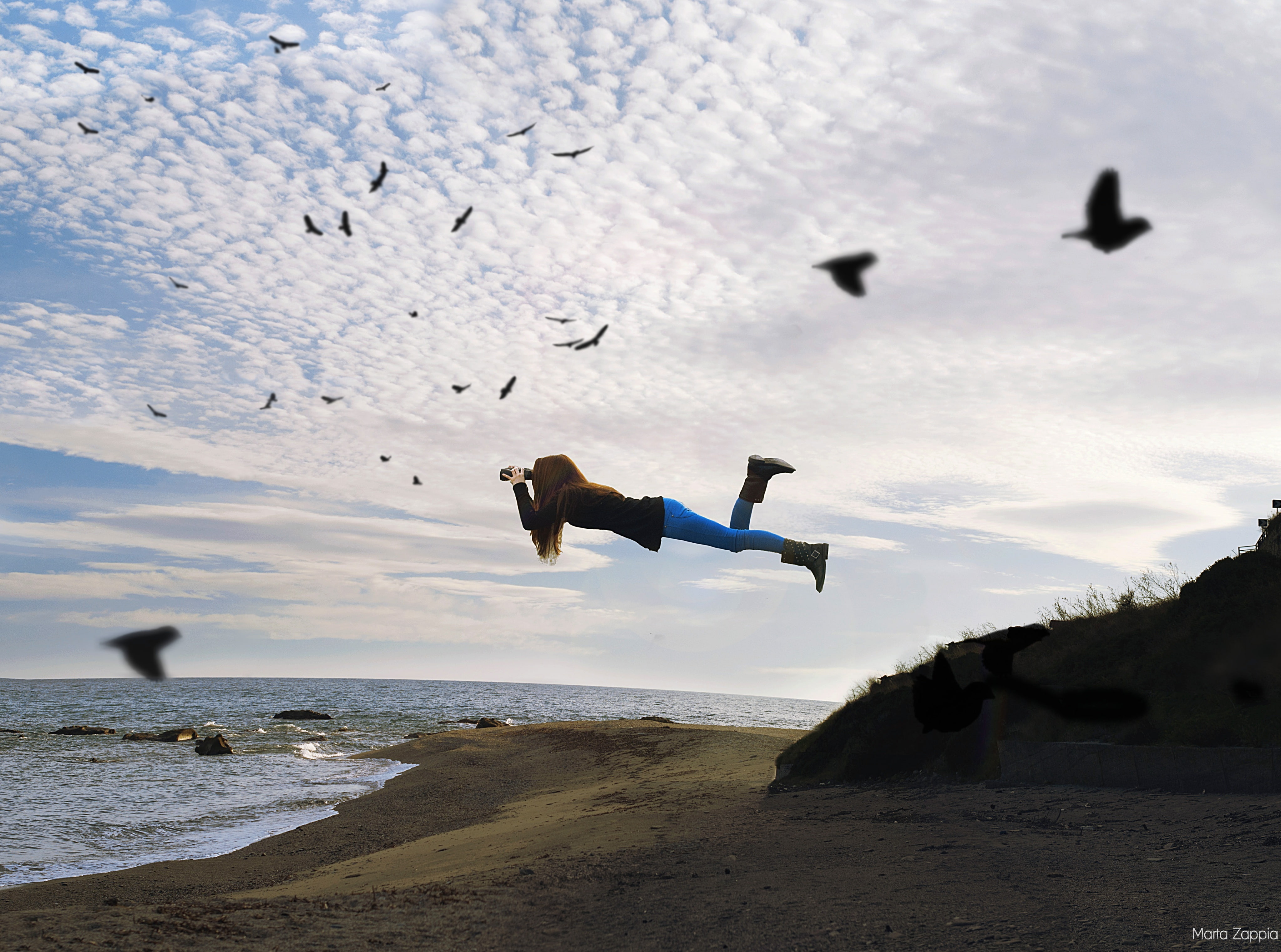 flying, Random, bird, perspective, Portrait, Italy, camera, View, luce, Landscape, Birds, sky, day, beauty in nature, Creative, Photo, holding, cloud - sky, HD Wallpaper
