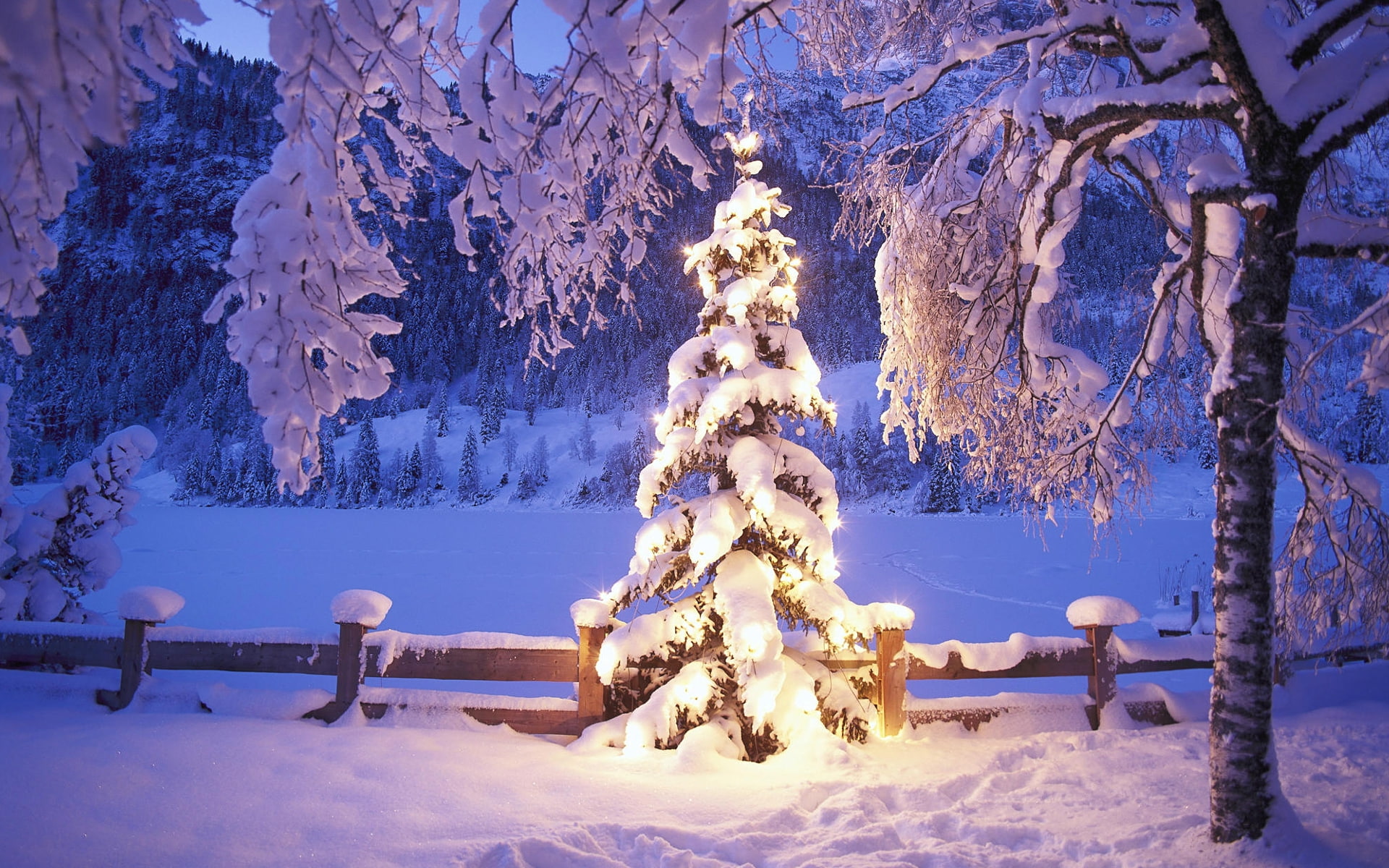 snowy, photography, Christmas, tree, abstract, Lights, hd, mountains, art, forest, christmas tree, 1080P, foothills, HD Wallpaper