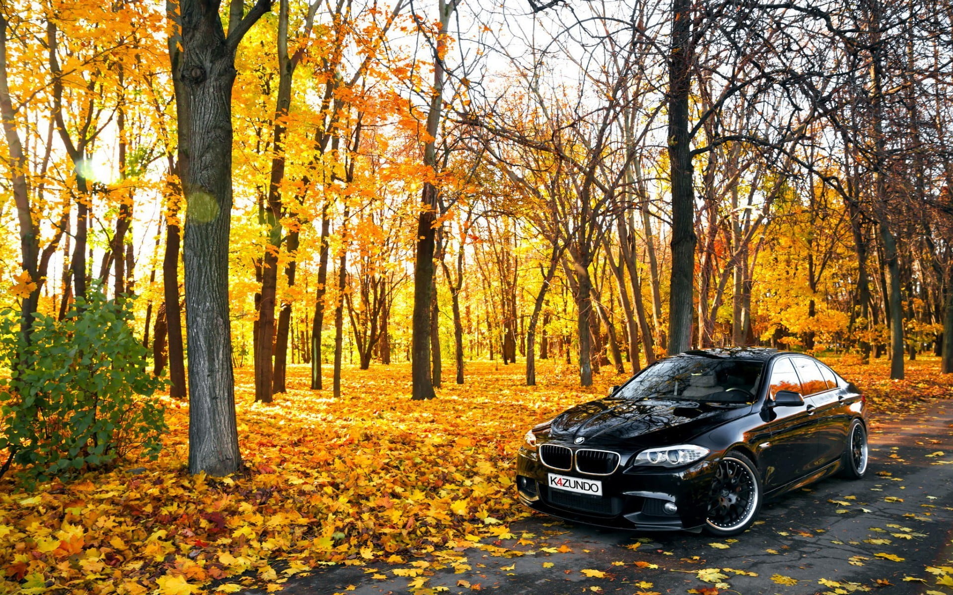 canada, shiny, autumn, mode of transportation, orange Color, dirt Road, day, sedan, vibrant Color, transportation, black, yellow, hatchback, change, germany, HD Wallpaper