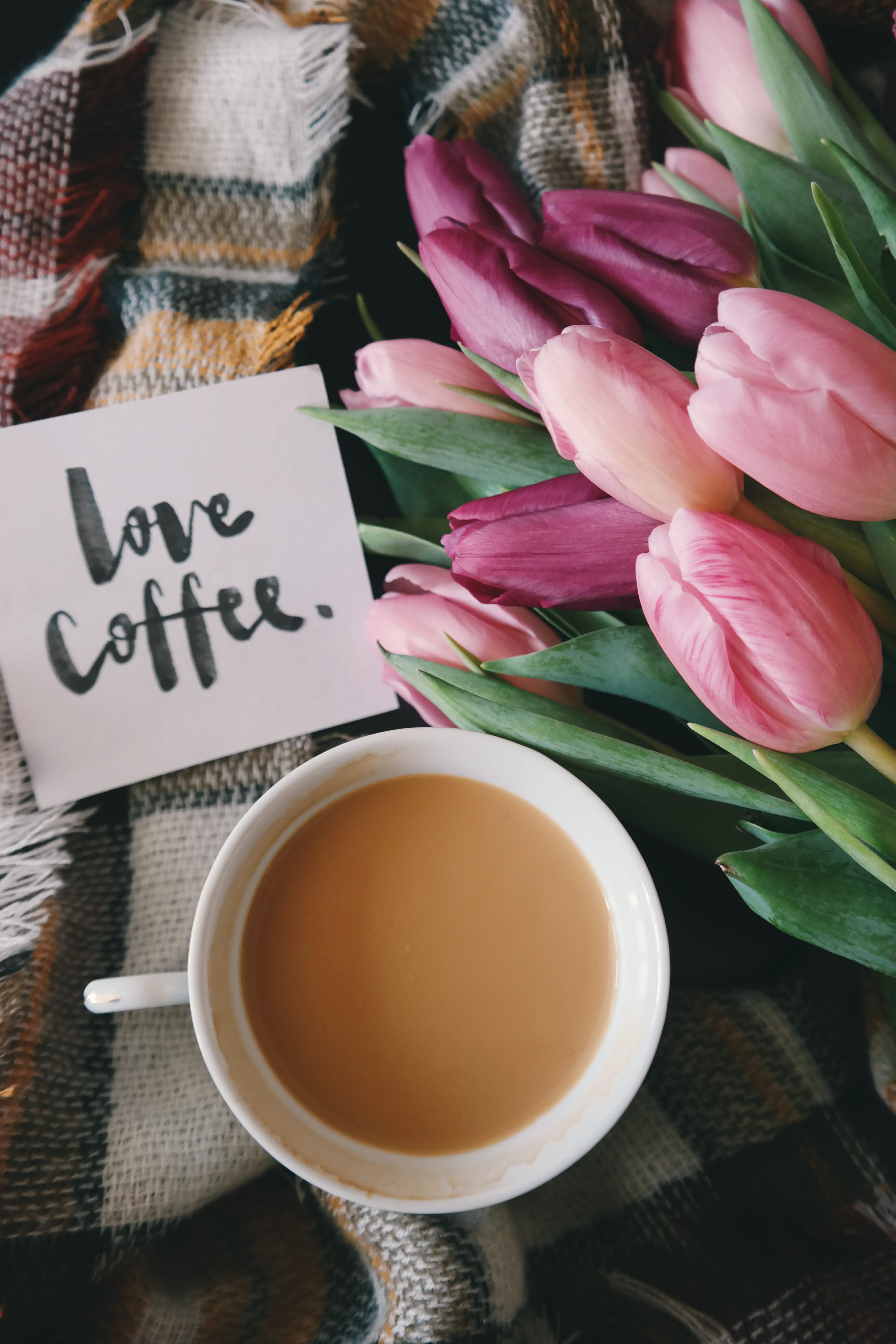 western script, communication, still life, coffee, typography, close-up, warm, text, scarfs, high angle view, writing, drink, refreshment, nature, milk, Phone HD Wallpaper