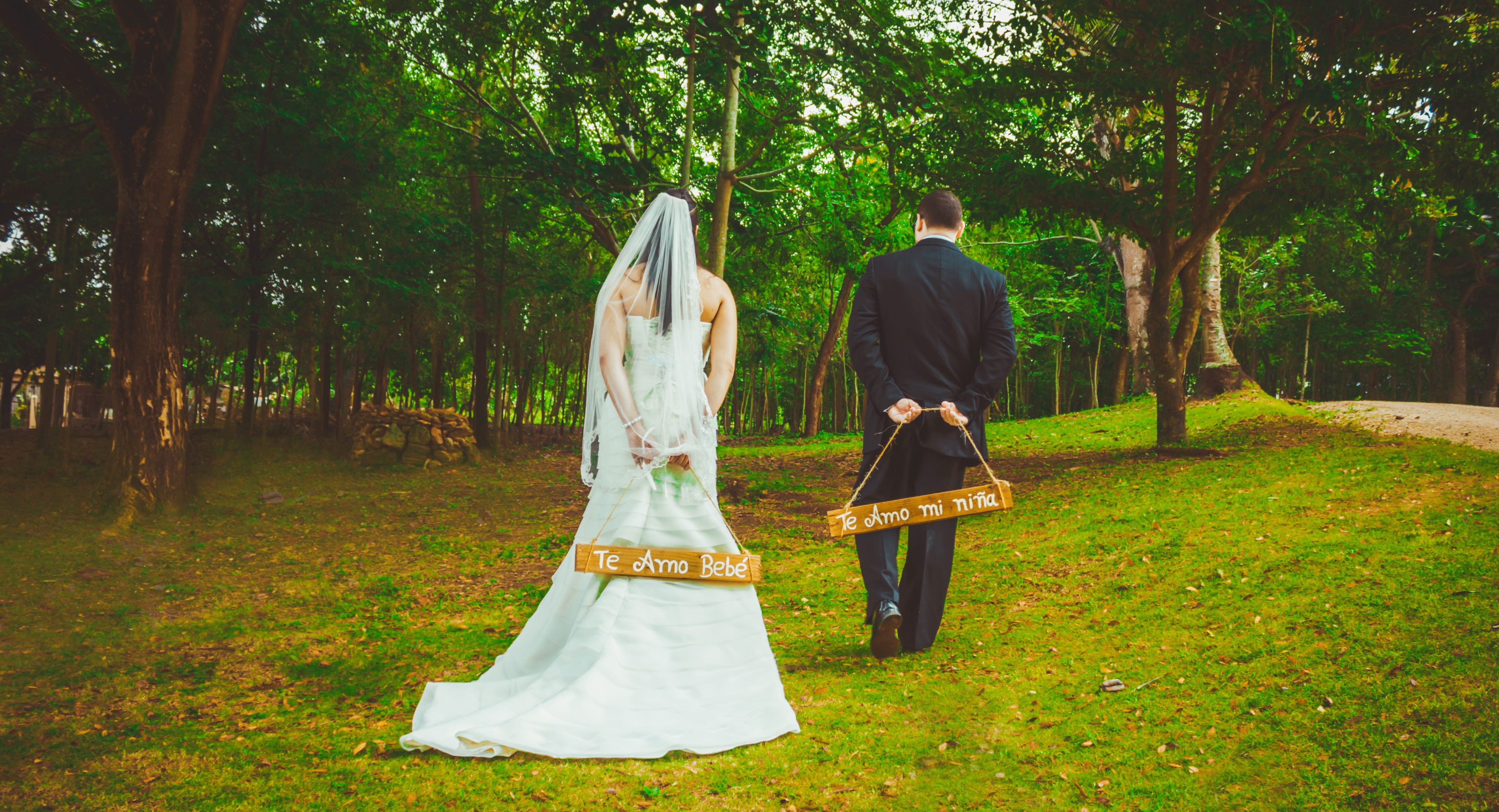 complicity, veil, uruguay, newlywed, landscape, holding, wedding dress, hanging, grass, men, emgombe, lovers, positive emotion, slippers, newly married, HD Wallpaper