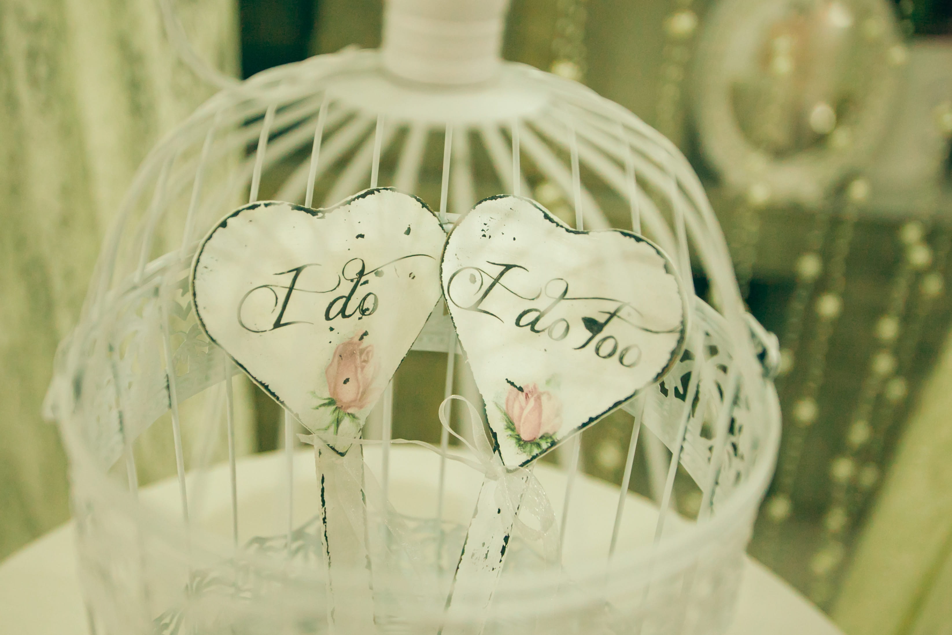emotion, nature, blurr, close-up, representation, two, i do, bird cage, cage, 2K, positive emotion, decoration, no people, text, heart shape, art and craft, HD Wallpaper