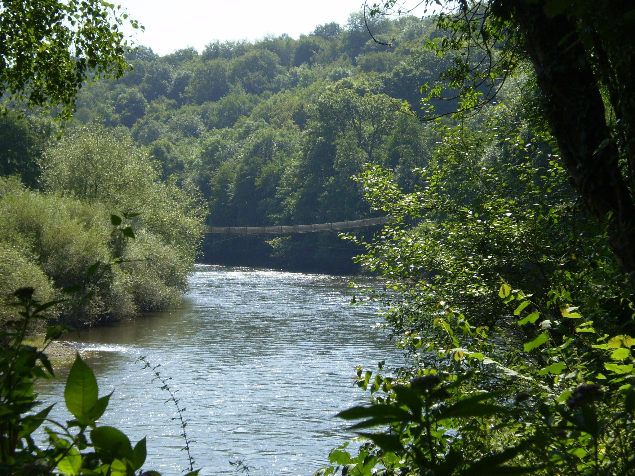 wales, bridge, big, zoom, lush, 1080P, nature and landscapes, really, forest, HD Wallpaper