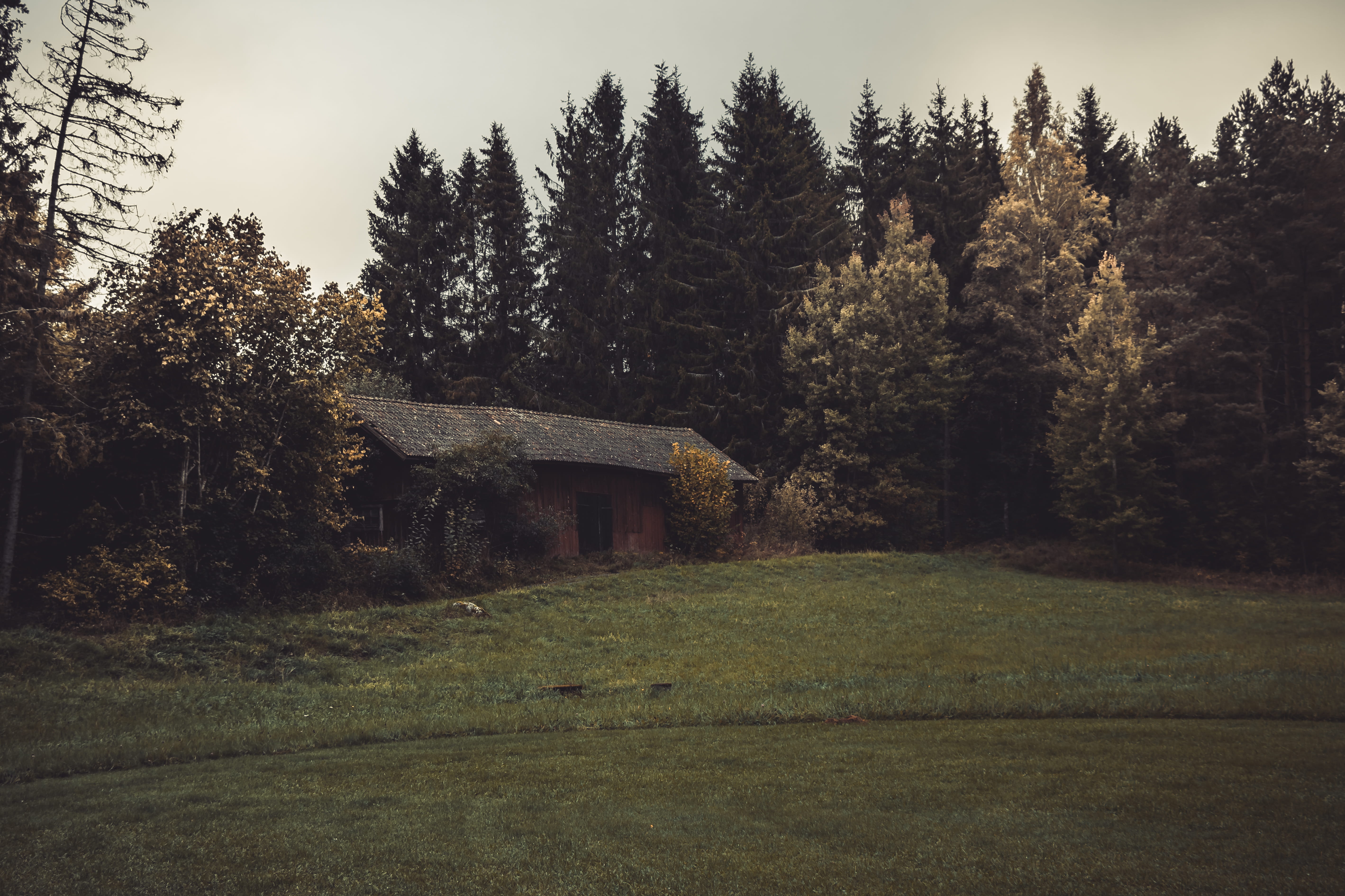 built structure, tranquility, no people, plant, building exterior, cottage, outdoors, farm, forest, landscape, green color, tree, rustic, scary, grass, HD Wallpaper