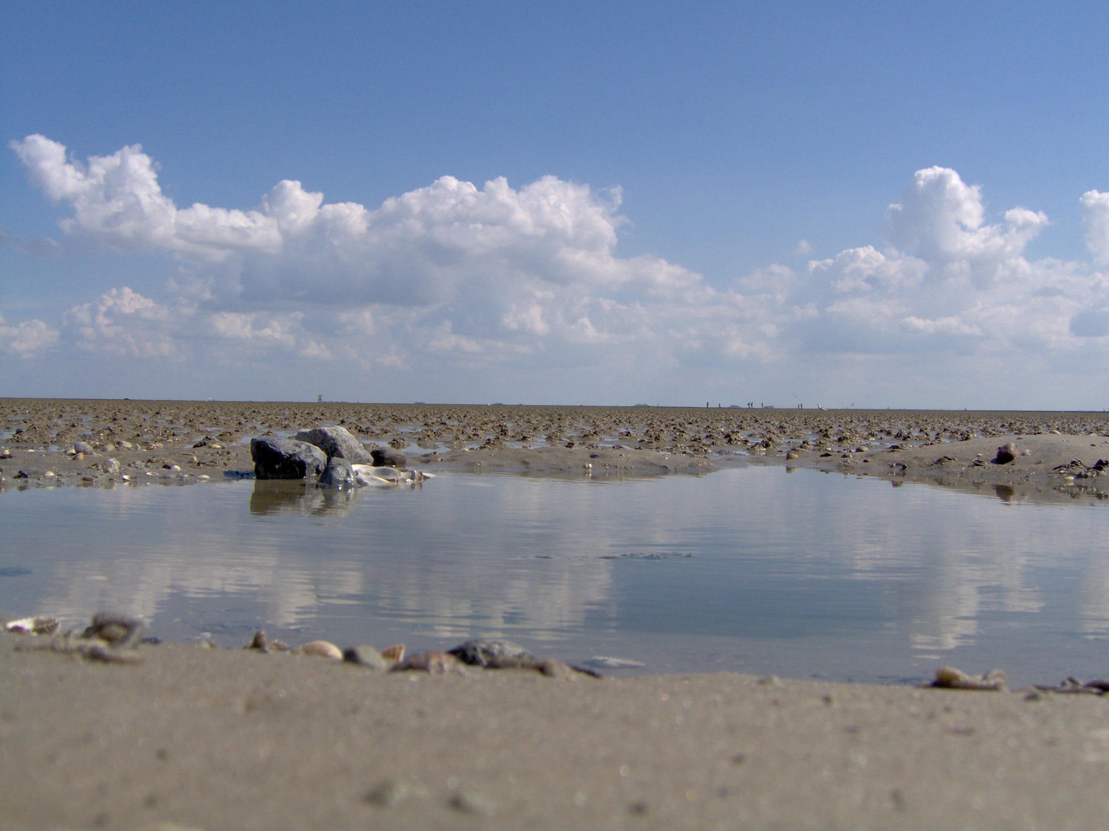 sand watt, outdoors, wadden sea, 1080P, horizon over water, lugworm shit, national park, scenics - nature, mecklenburg, sky, blue, beauty in nature, mudflat hiking, HD Wallpaper