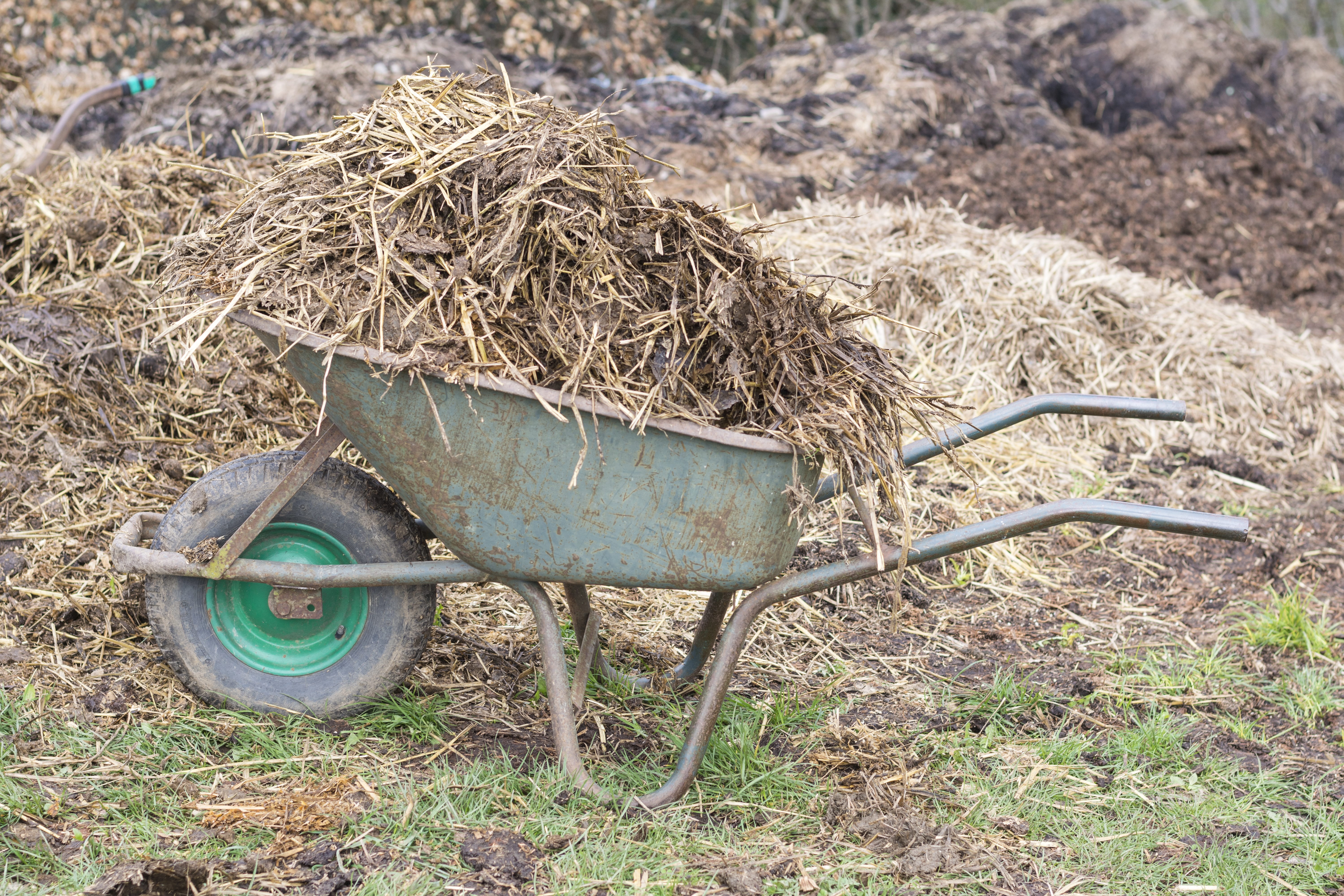 grass, agricultural machinery, nature, gardening, dry, plant, transportation, growth, straw, green life, sunlight, recycling, doing farm work, high angle view, HD Wallpaper