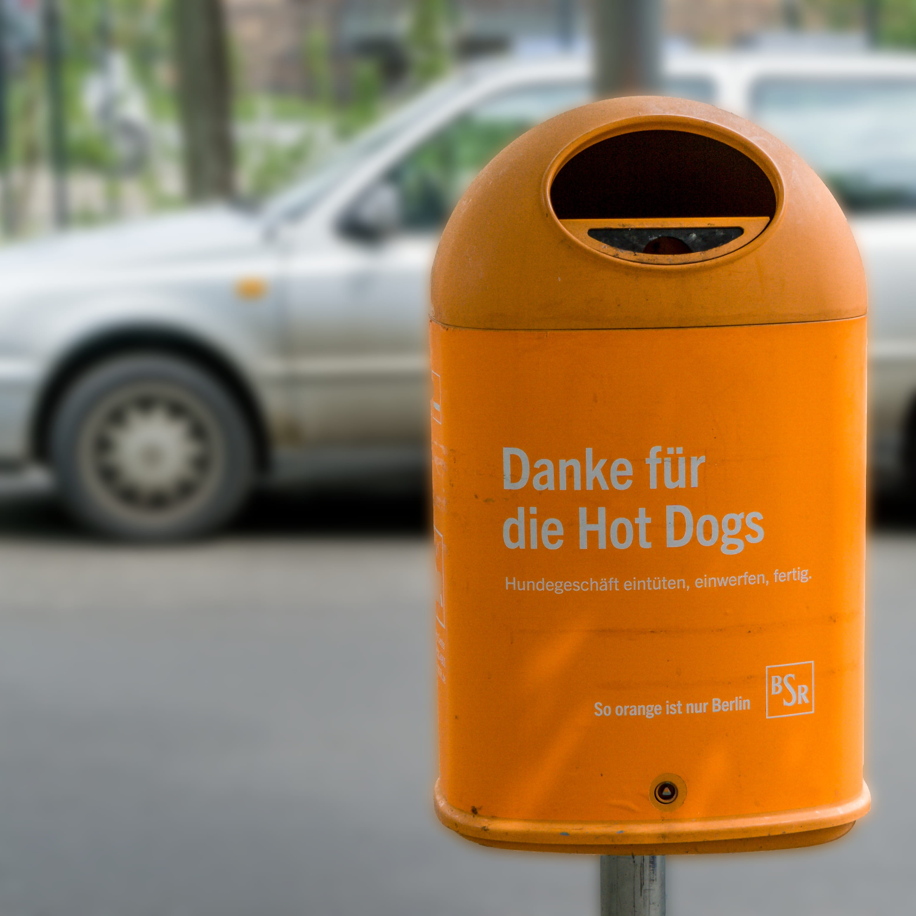 Dog, Recycle Bin, close-up, city cleaning, garbage can, non-western script, Shit, 2K, motor vehicle, push button, bsr, communication, Garbage, day, transportation, Phone HD Wallpaper
