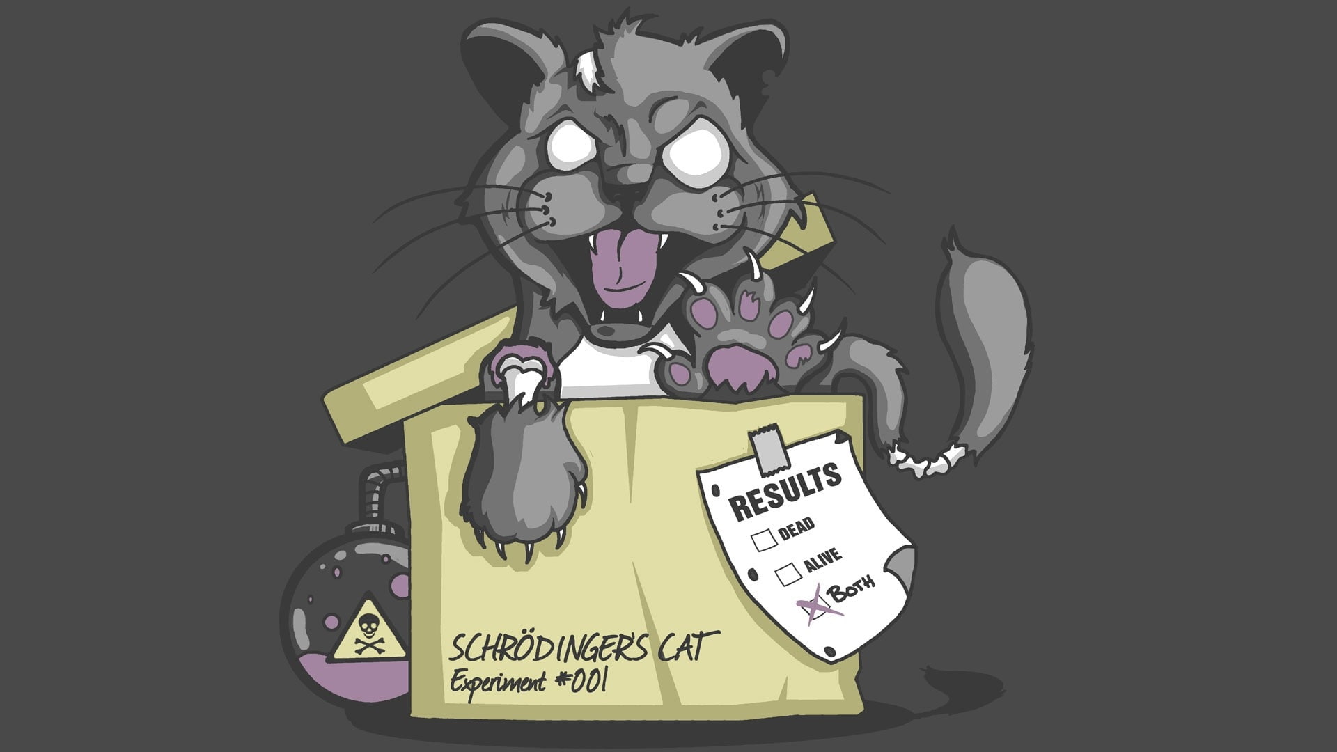 schrdingers, art, artwork, 1080P, hd, cat, animals, schrdinger, x, Schrödingers Cat, cats, HD Wallpaper