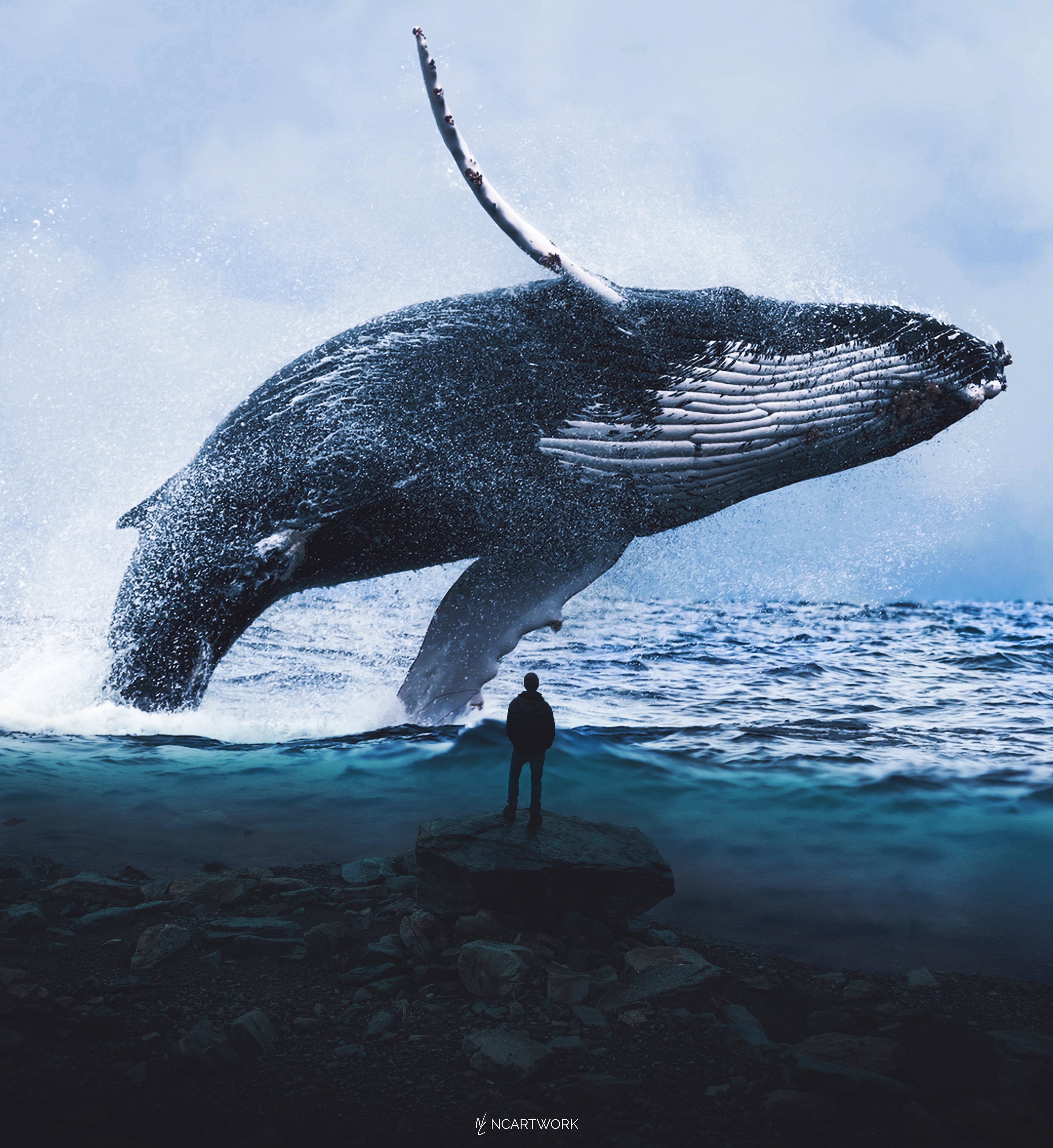 Water, 4K, 4K, Man, Dream, Blue Whale, Phone HD Wallpaper