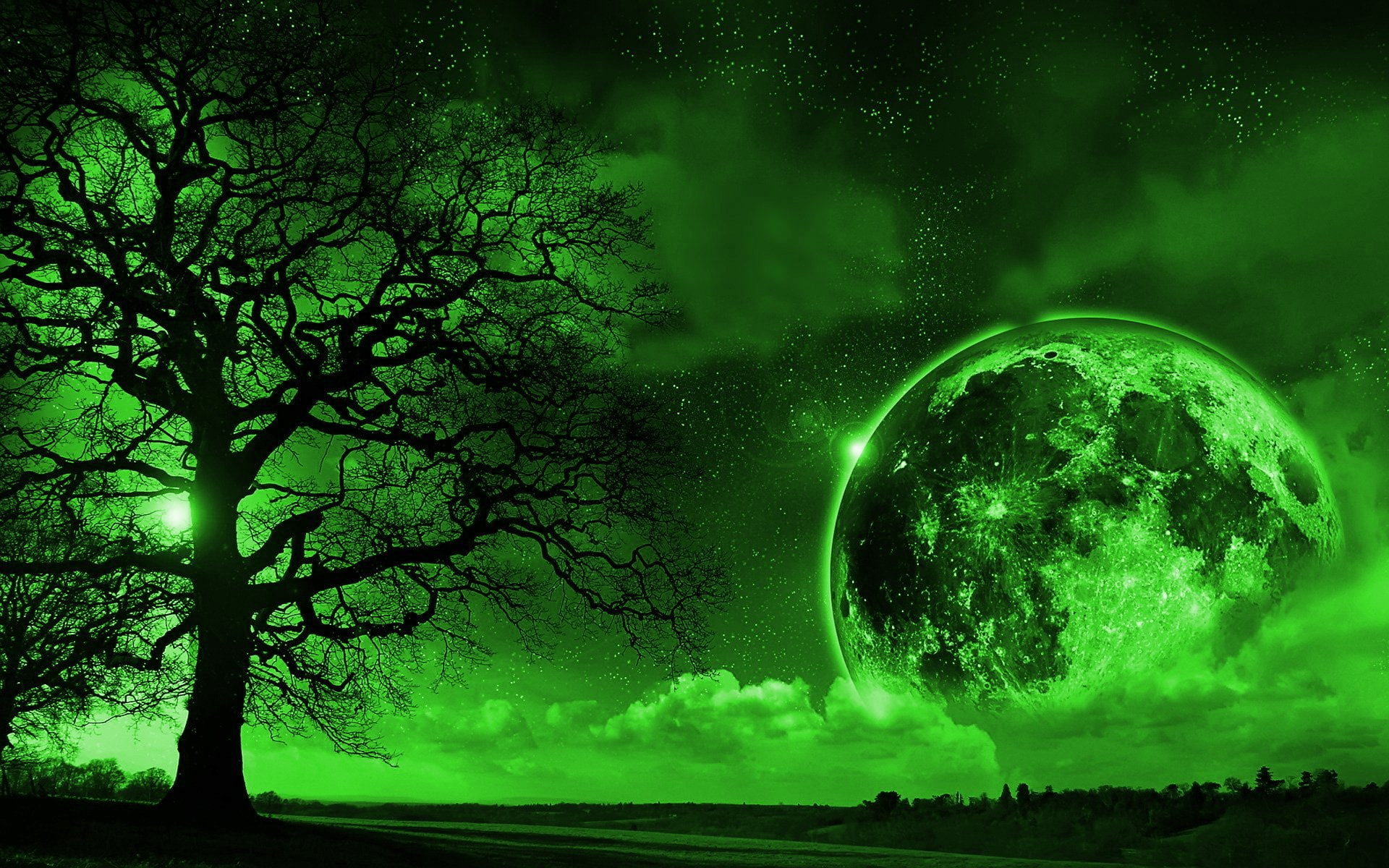 star - space, 1080P, Tree, astronomy, environment, land, illuminated, power in nature, light - natural phenomenon, space, Moon, sky, tranquility, green color, HD Wallpaper