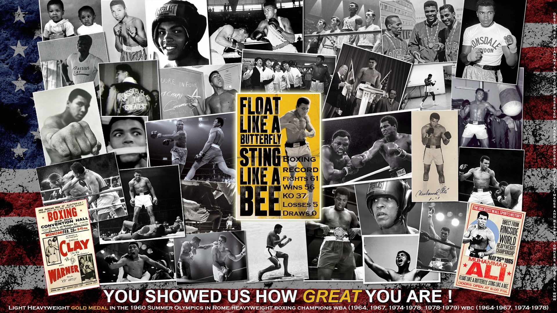 1080P, x, animals, boxing, Butterfly, fight, hd, butterflies, bees, collage, ali, boxer, muhammad, art, HD Wallpaper