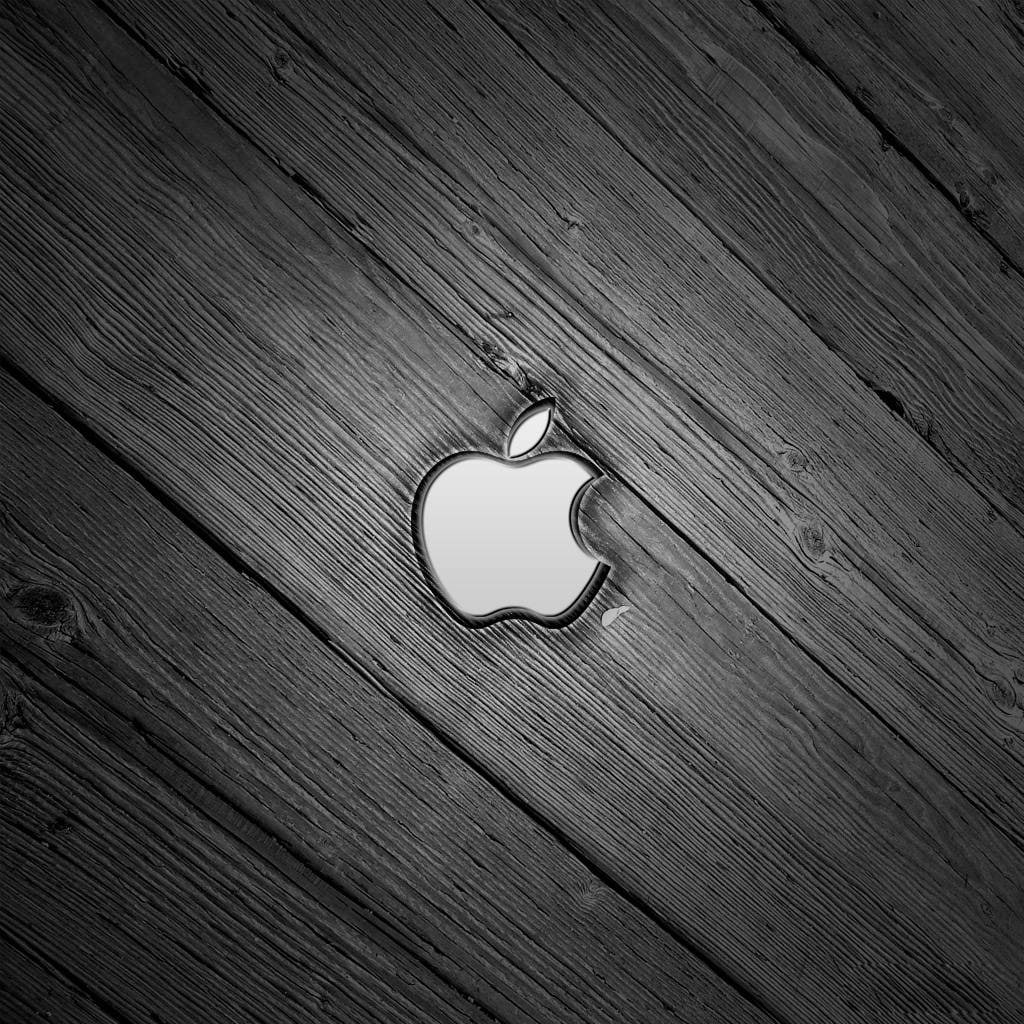 electronic, wood, brand, apple, products, logo, silver, electronic products, ipad, 480P, technology, Phone HD Wallpaper