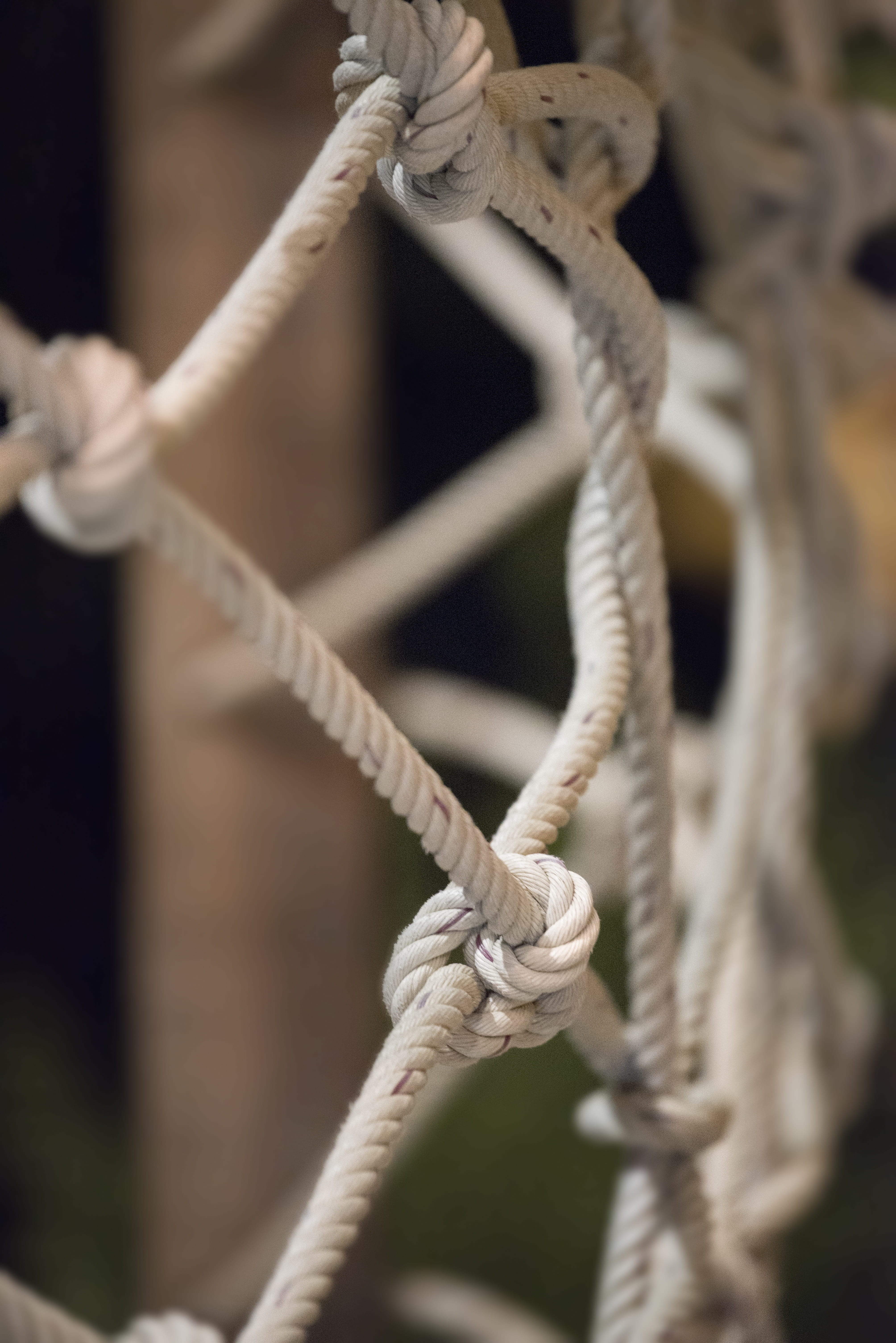 wood - material, gold medal, player, mesh, rope, intertwined, communication, strength, net, nature, outdoors, lose, focus on foreground, security, victory, Phone HD Wallpaper