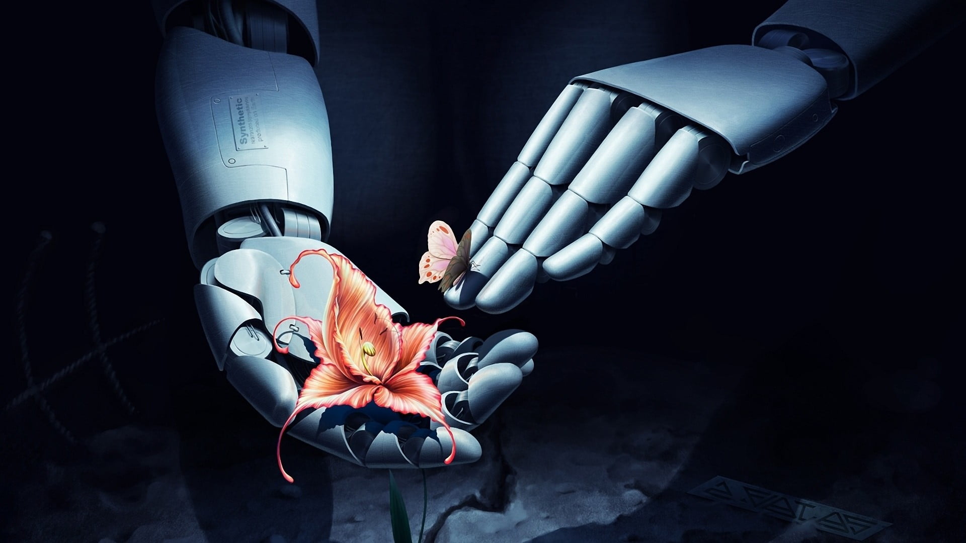 indoors, flowering plant, robot, flowers, orange, black background, petaled, 3D, butterfly, surgical glove, 1080P, studio shot, hands, people, hand, human hand, HD Wallpaper