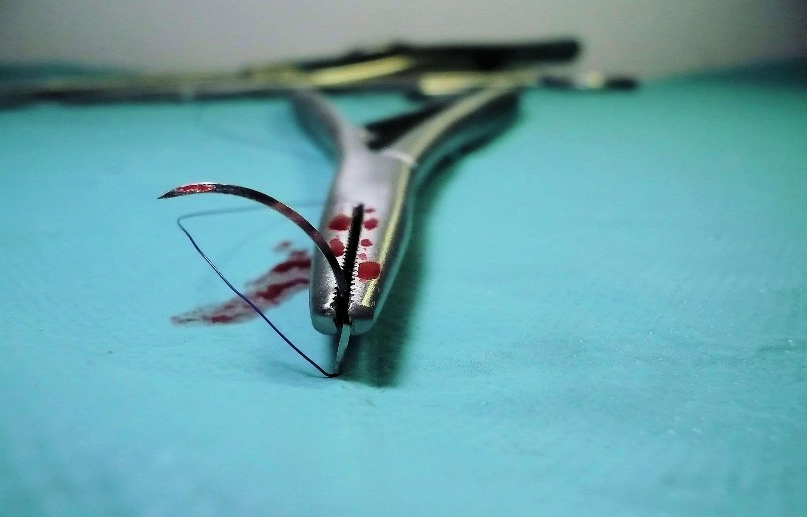 animal, operation, hospital, creativity, intervention, single object, igotrzymacz, metal, close-up, tools, art and craft, the patient, white color, needle, HD Wallpaper