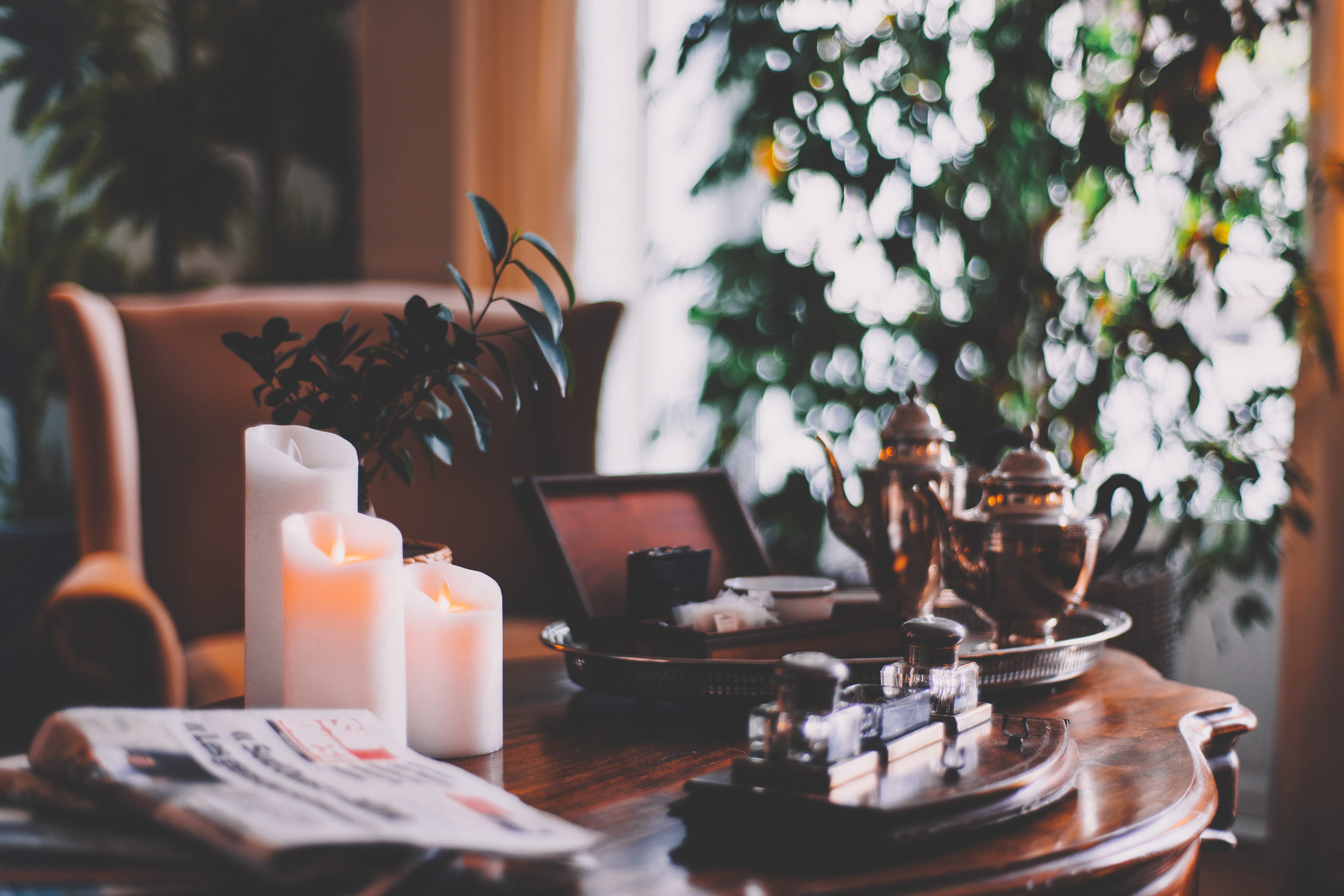 electronics, person, no people, cup, set, blossom, nature, candle, dining table, potted plant, selective focus, pc, table, indoors, lighted, candles, close-up, HD Wallpaper