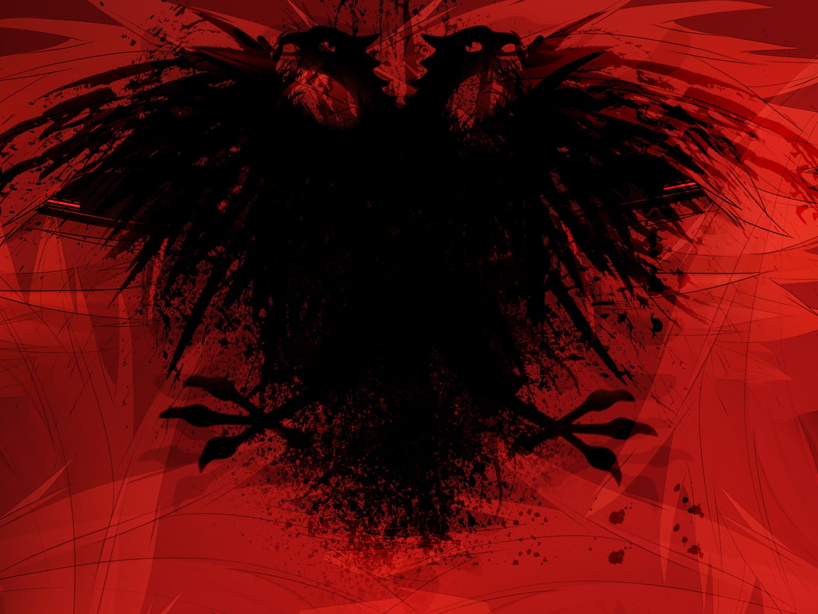 backgrounds, Albania, pattern, low angle view, indoors, aggression, red, built structure, nature, abstract, growth, textured, flag, eagle, symmetry, no people, HD Wallpaper