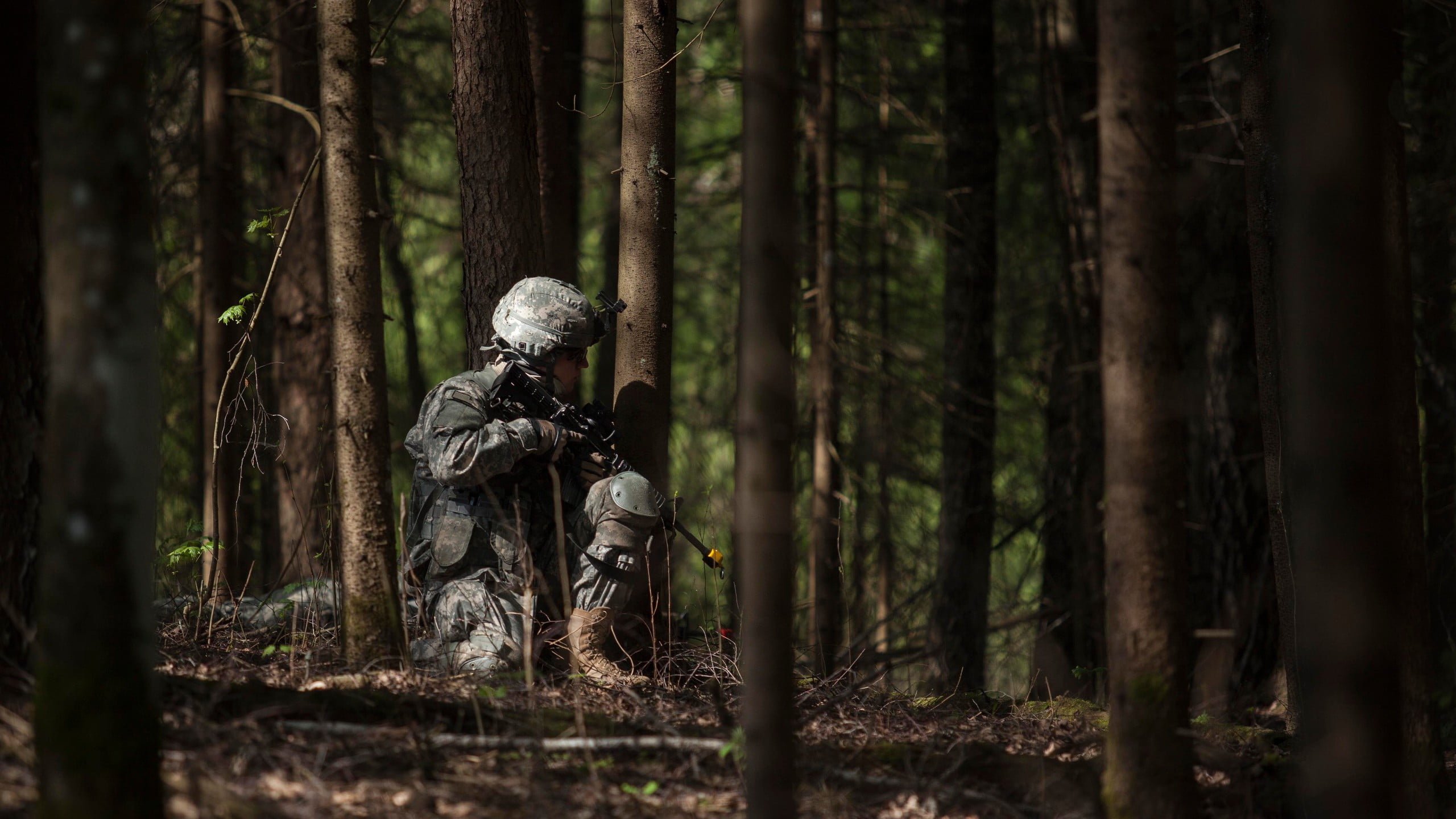 growth, woodland, nature, plant, military, adult, gray, government, trunk, s, 2K, outdoors, armed forces, blank-firing adapter, land, weapon, tree, soldier, HD Wallpaper