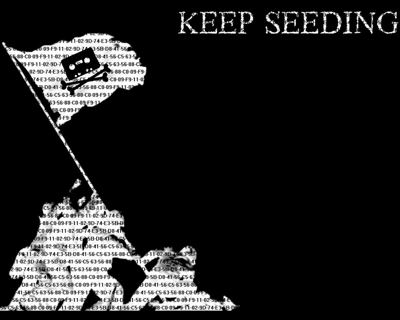 piracy, 720P, Typography, HD Wallpaper
