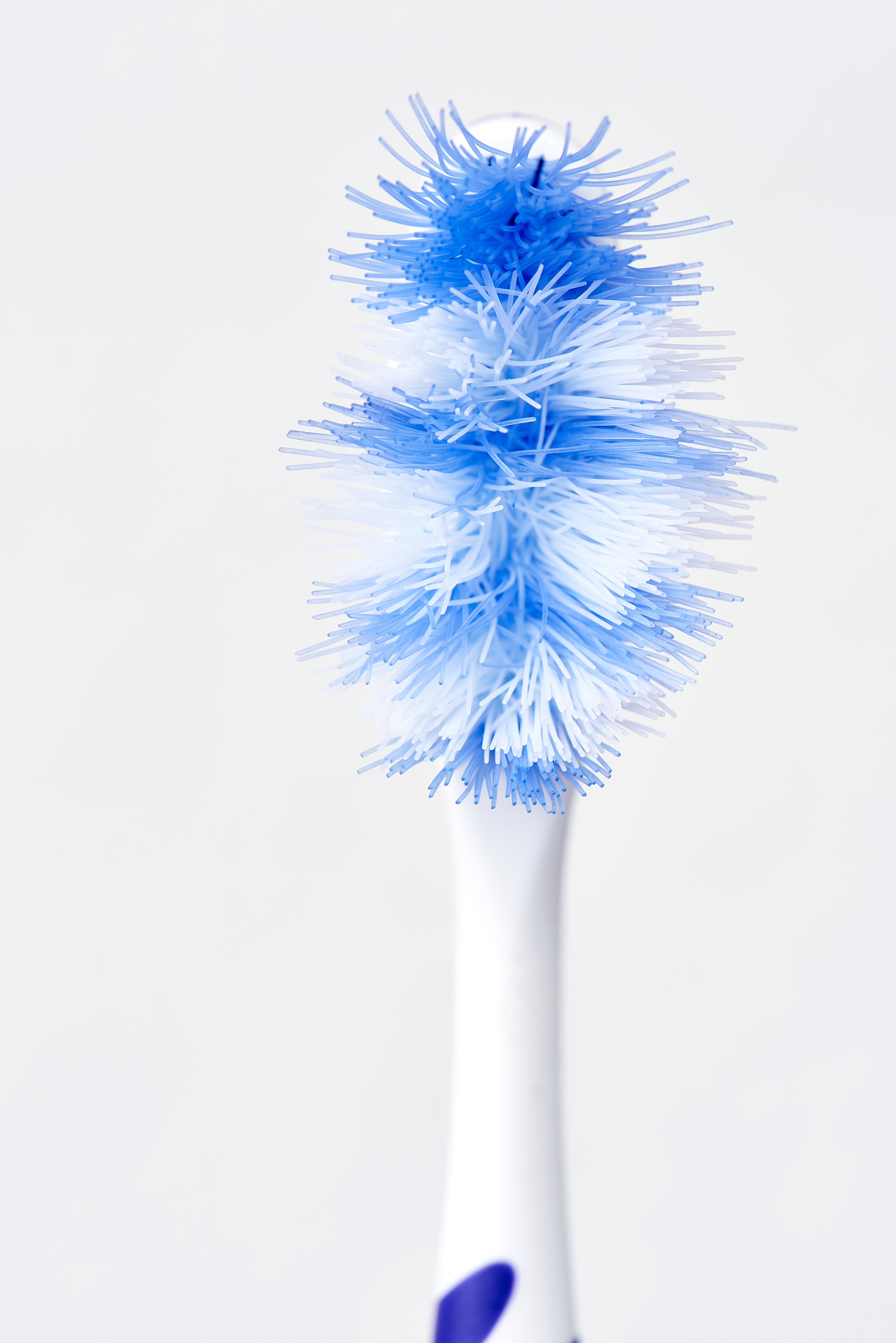 freshness, care, nature, toothbrush, white, dental care, softness, copy space, studio shot, flowering plant, toothbrush head, body care, dentistry, bless you, Phone HD Wallpaper