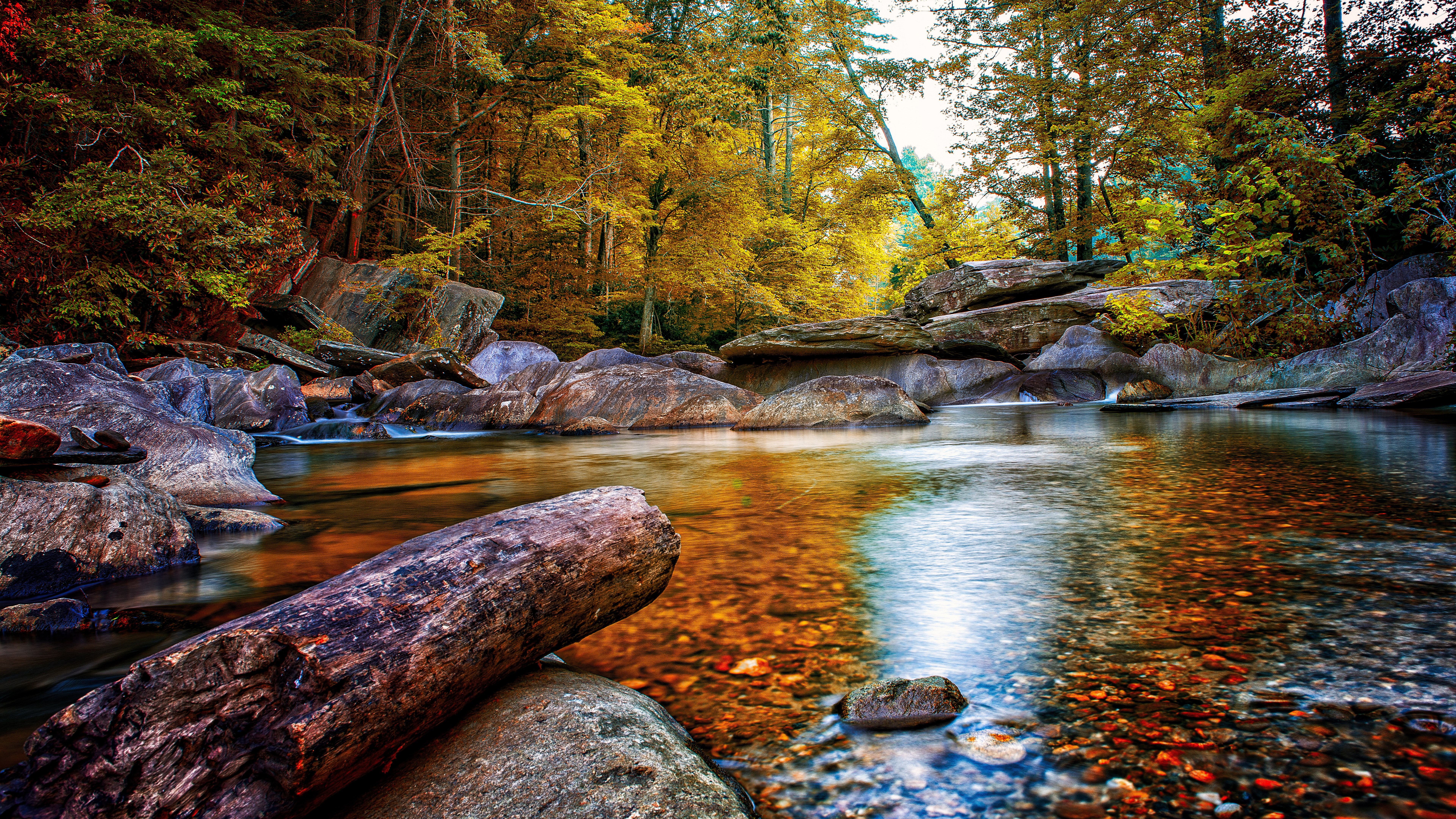 tree, rock - object, non-urban scene, flowing water, tranquility, forest, flowing, stream - flowing water, river, idyllic, water, rock, tranquil scene, HD Wallpaper