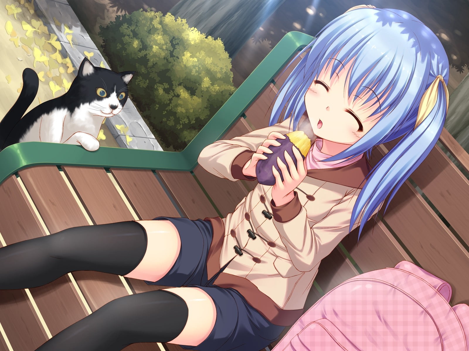 blue, sunlight, girl, leisure activity, domestic, women, real people, mammal, pet owner, eating, vertebrate, pets, nature, cat, three quarter length, appetite, HD Wallpaper