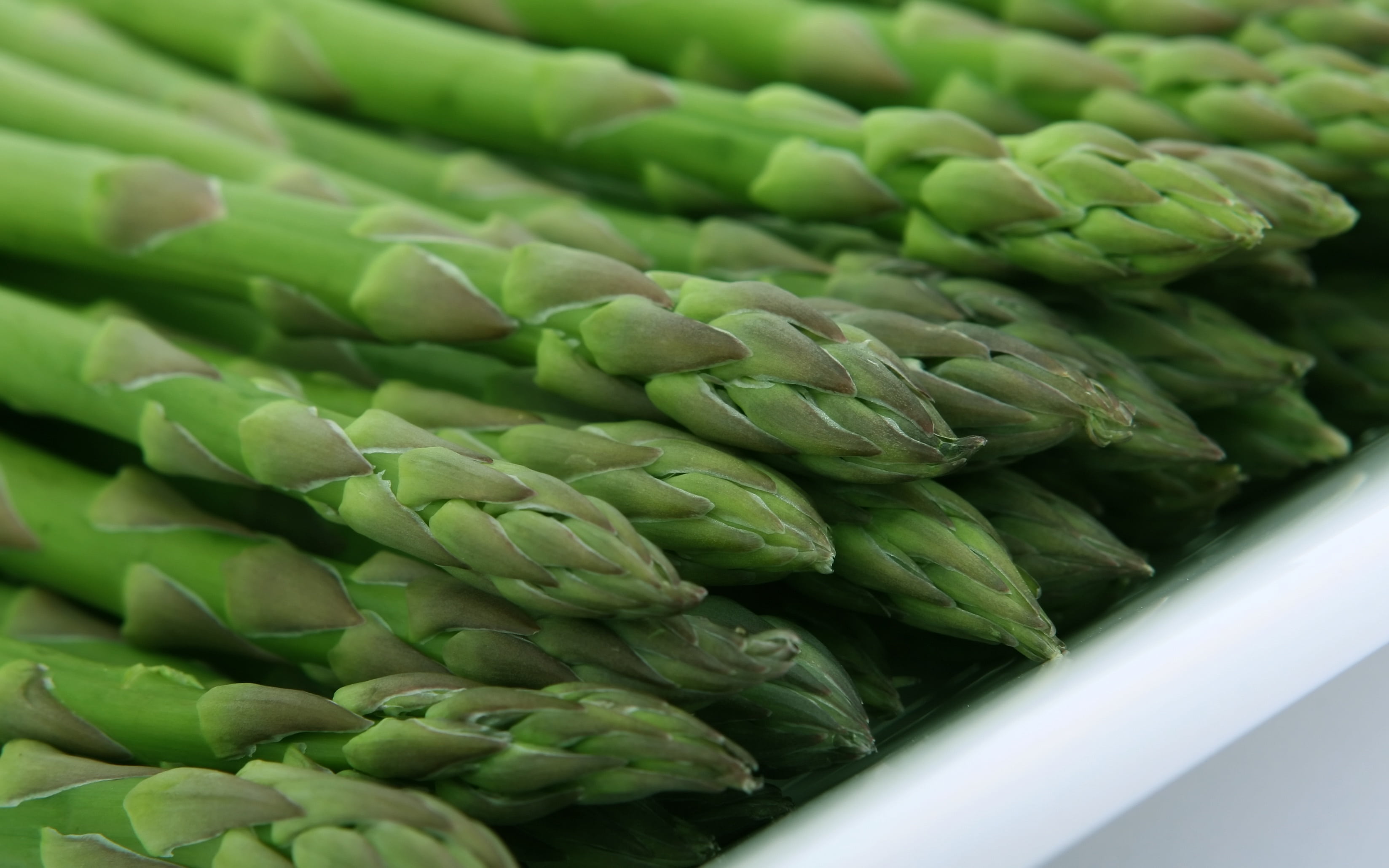 picked, day, healthy eating, green color, freshness, asparagus, good, groceries, 2K, artichoke, calories, plate, culinary, abundance, nourishing, produce, HD Wallpaper