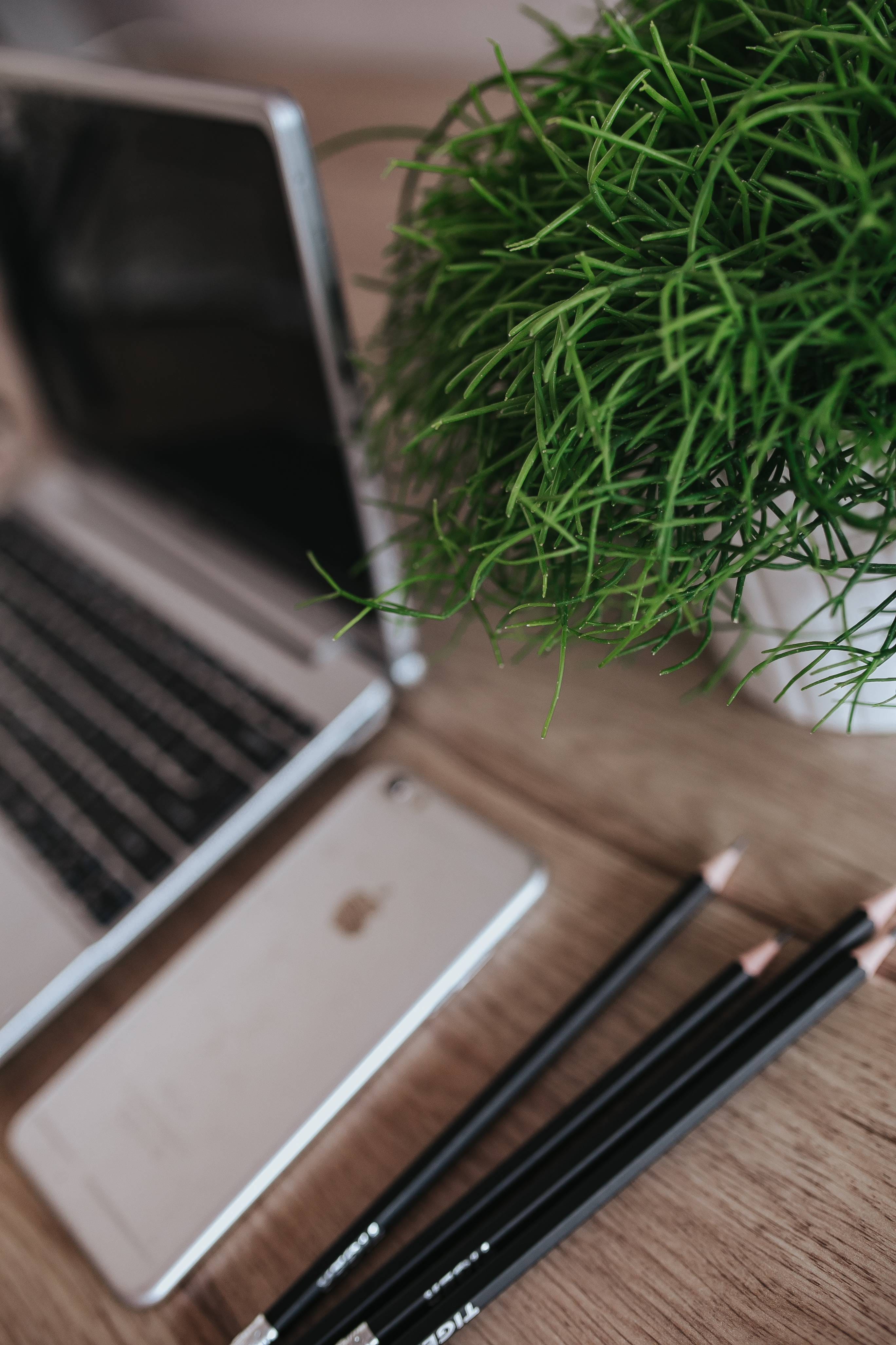 still life, Apple iPhone, apple, green plant, keyboard, workplace, business, selective focus, table, no people, iphone, plant, indoors, connection, close-up, Phone HD Wallpaper