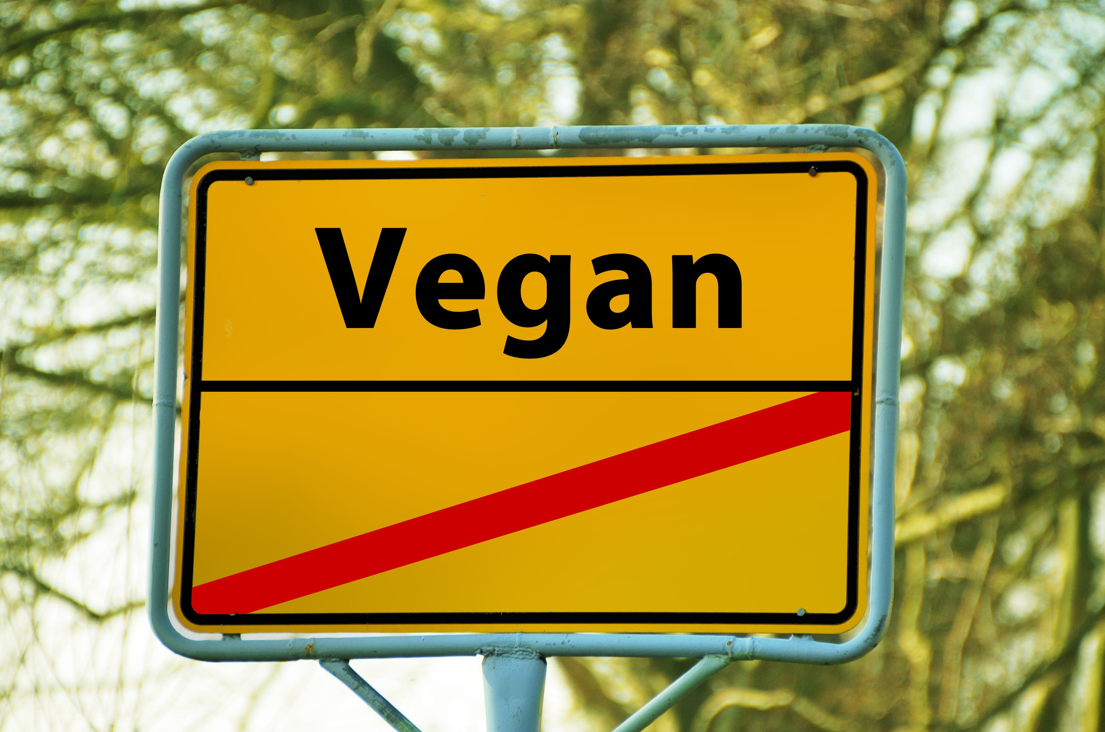board, sign, warning sign, warning symbol, vegan, yellow, shield, climate change, road, guidance, close-up, no people, direction, directional sign, text, HD Wallpaper