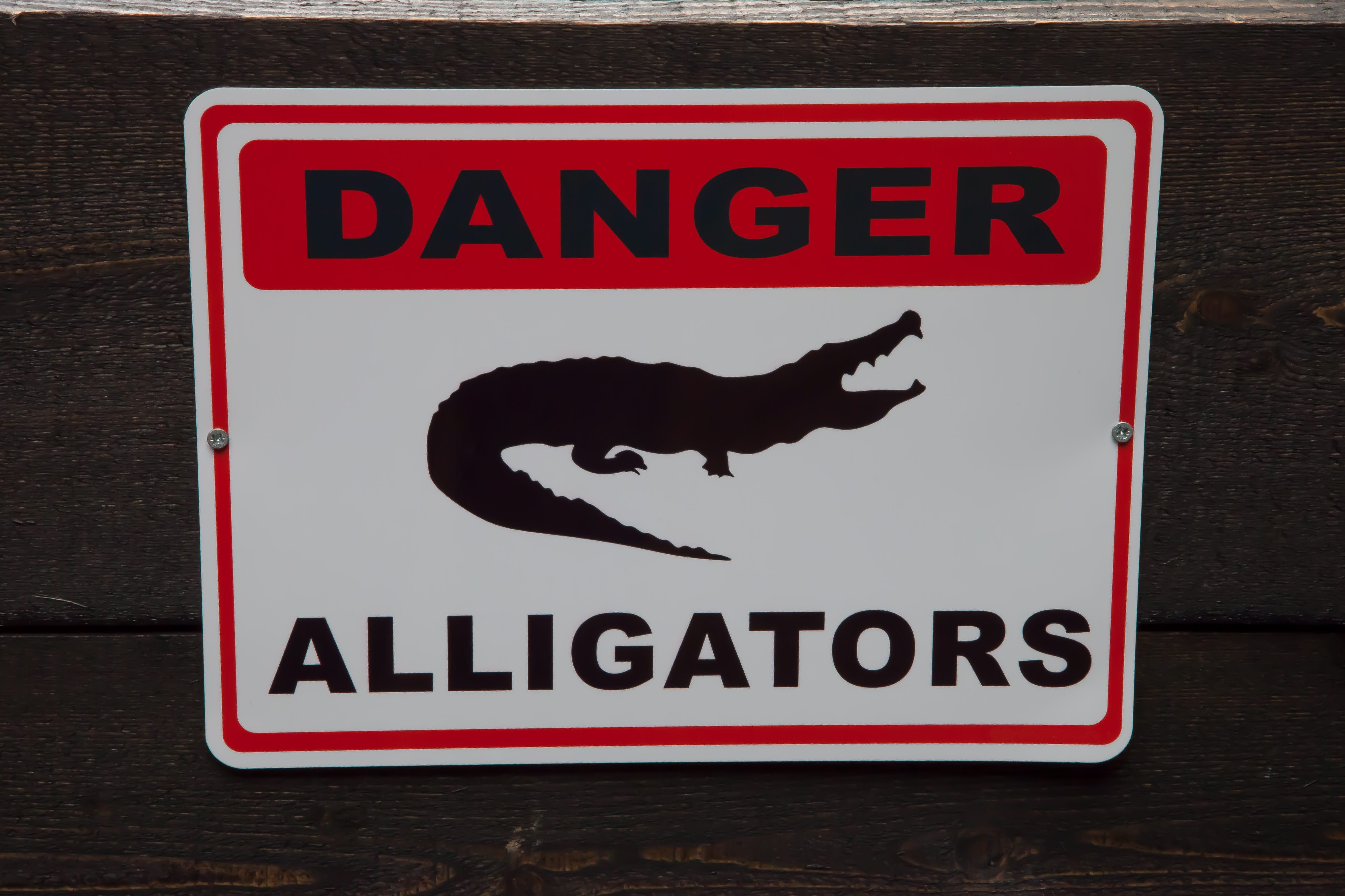 domestic, domestic animals, alligator, animal wildlife, sign, mammal, information sign, danger, red, animal, no people, representation, warning sign, animal representation, HD Wallpaper