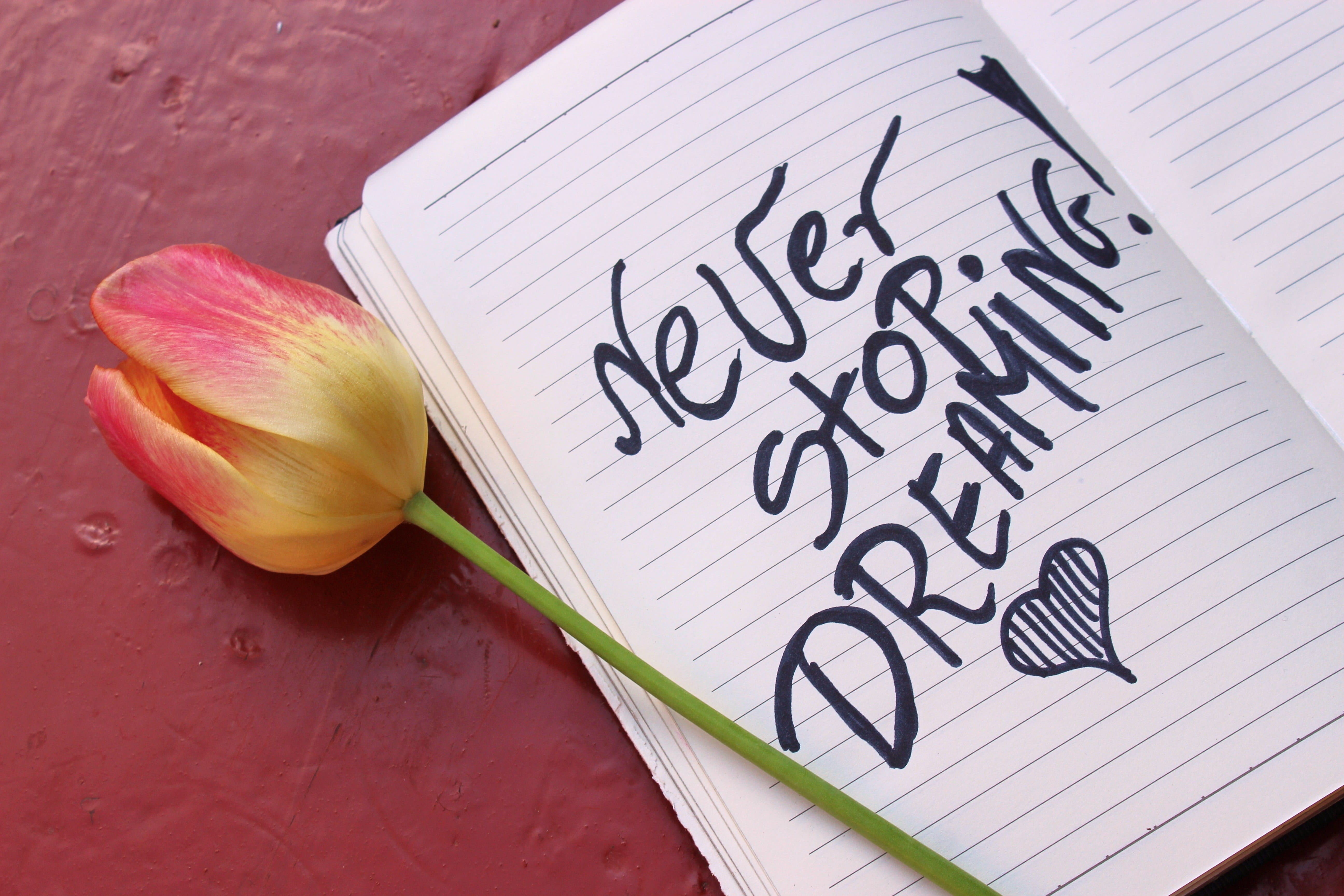 red, the inscription, freshness, dining table, notes, drawing - art product, 5K, message, table, food and drink, rose, close-up, paper, script, beside, HD Wallpaper