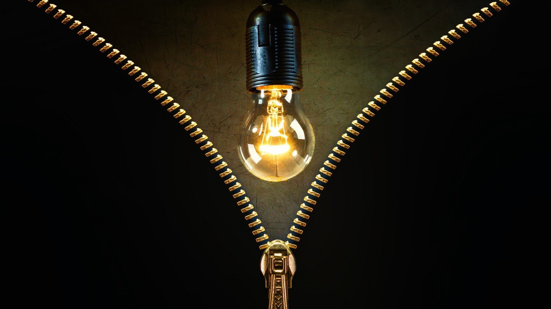 x, 1080P, gold, art, zippers, Lights, background, Scratches, Lightbulb, px, animals, 1920x1080 px, black background, squirrels, hd, black, HD Wallpaper
