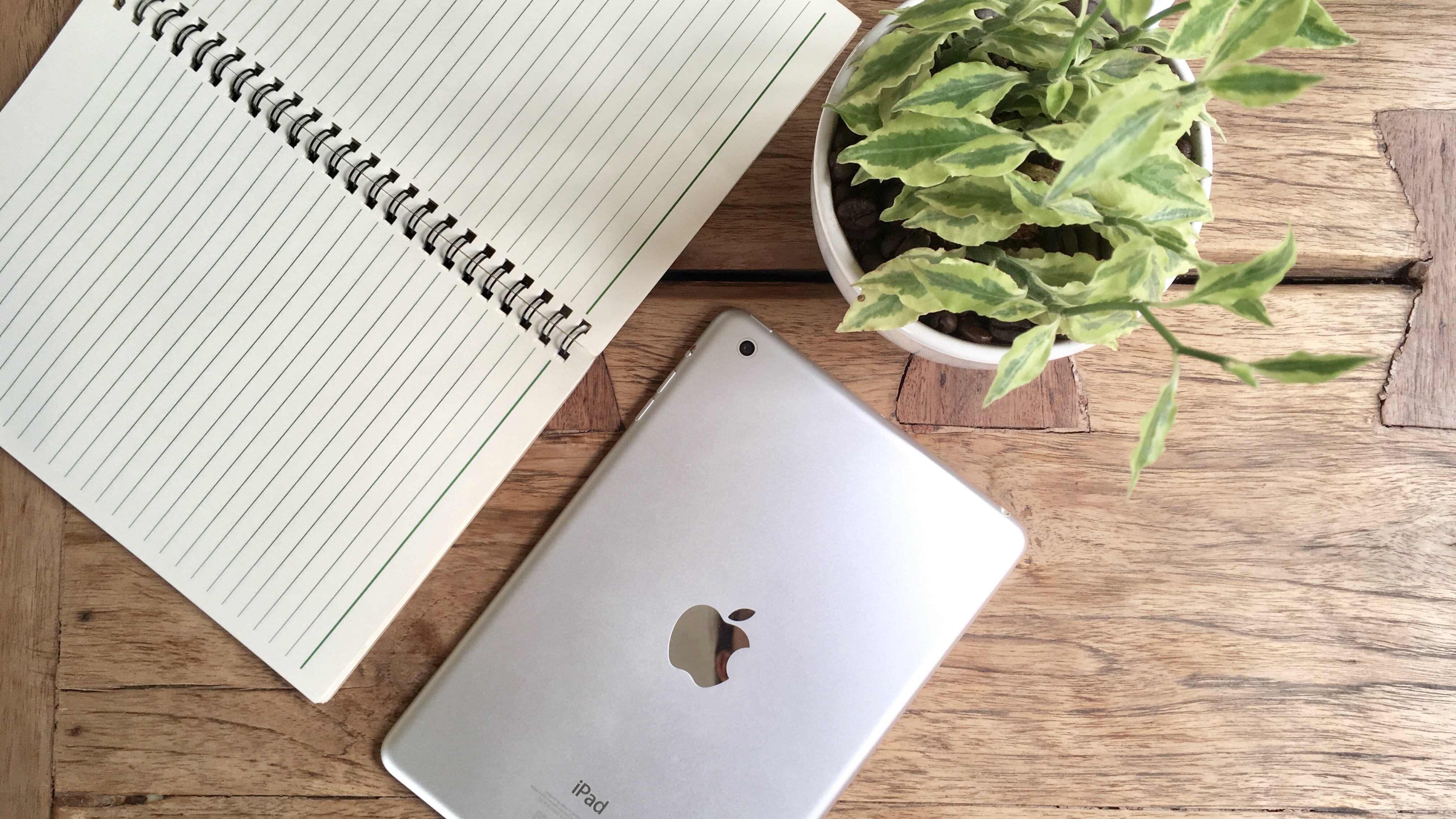 cutting board, 4K, white, vegetable, plant part, food and drink, green color, high angle view, plant, wood - material, leaf, ipad, domestic room, close-up, HD Wallpaper