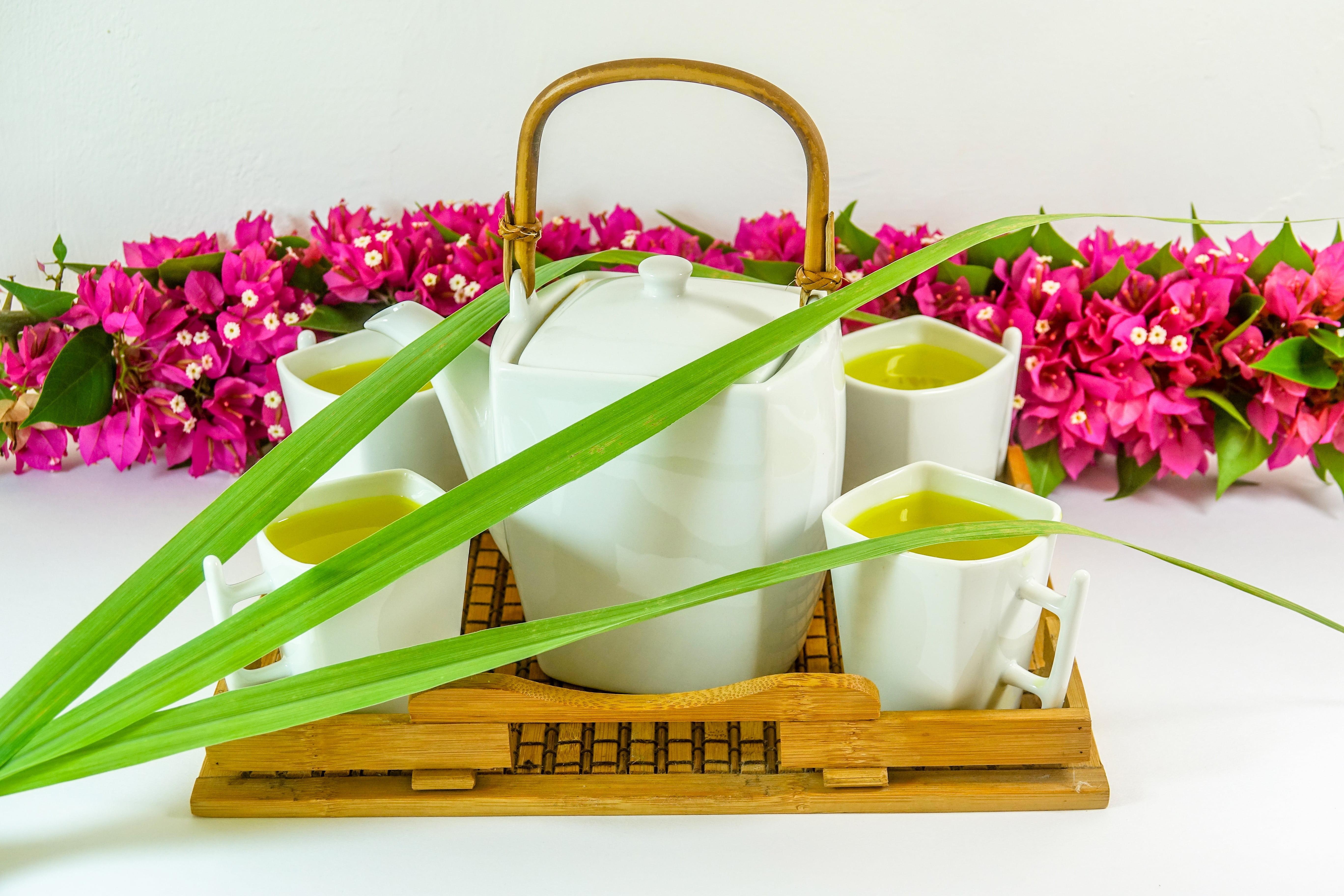 close-up, beige, service, flowering plant, quiet, food, plant part, fragility, teacup, tee, green color, freshness, teeservice, rest, flower arrangement, HD Wallpaper