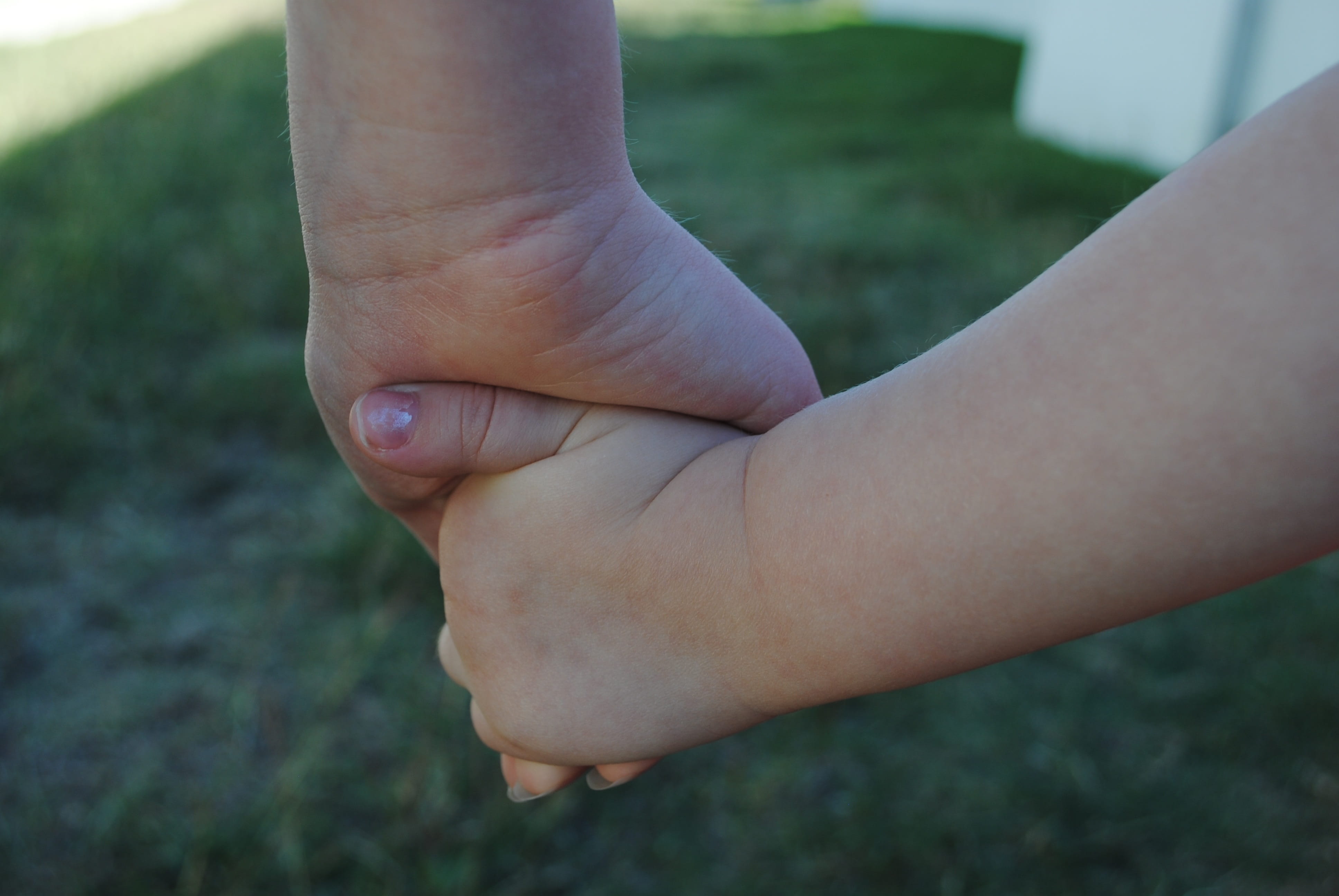 small, day, family, white, human finger, focus, outdoors, play, son, nature, close-up, 4K, two, hands, one person, finger, offspring, hand, human hand, HD Wallpaper