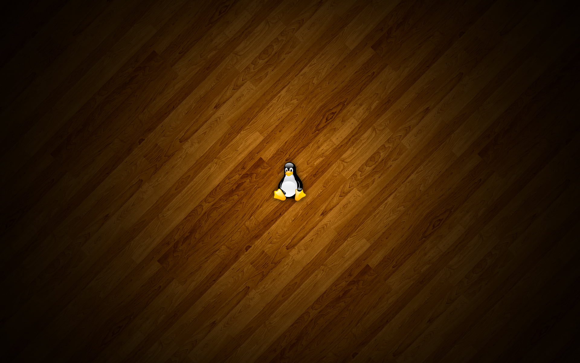one person, illuminated, Linux, day, hardwood floor, wood - material, 1080P, real people, Computers, os, sunlight, walking, flooring, gives, full length, HD Wallpaper