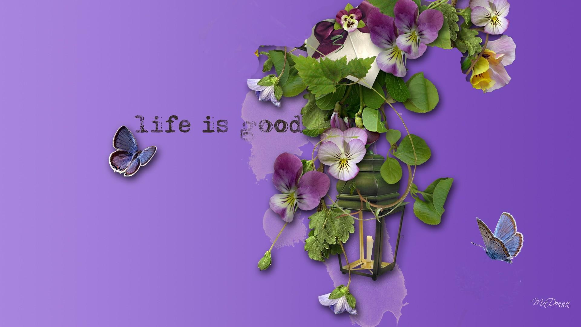 flowers, leaves, abstract, purple, lamp, lavender, light, remember, pansies, spring, 1080P, summer, butterflies, natur, HD Wallpaper