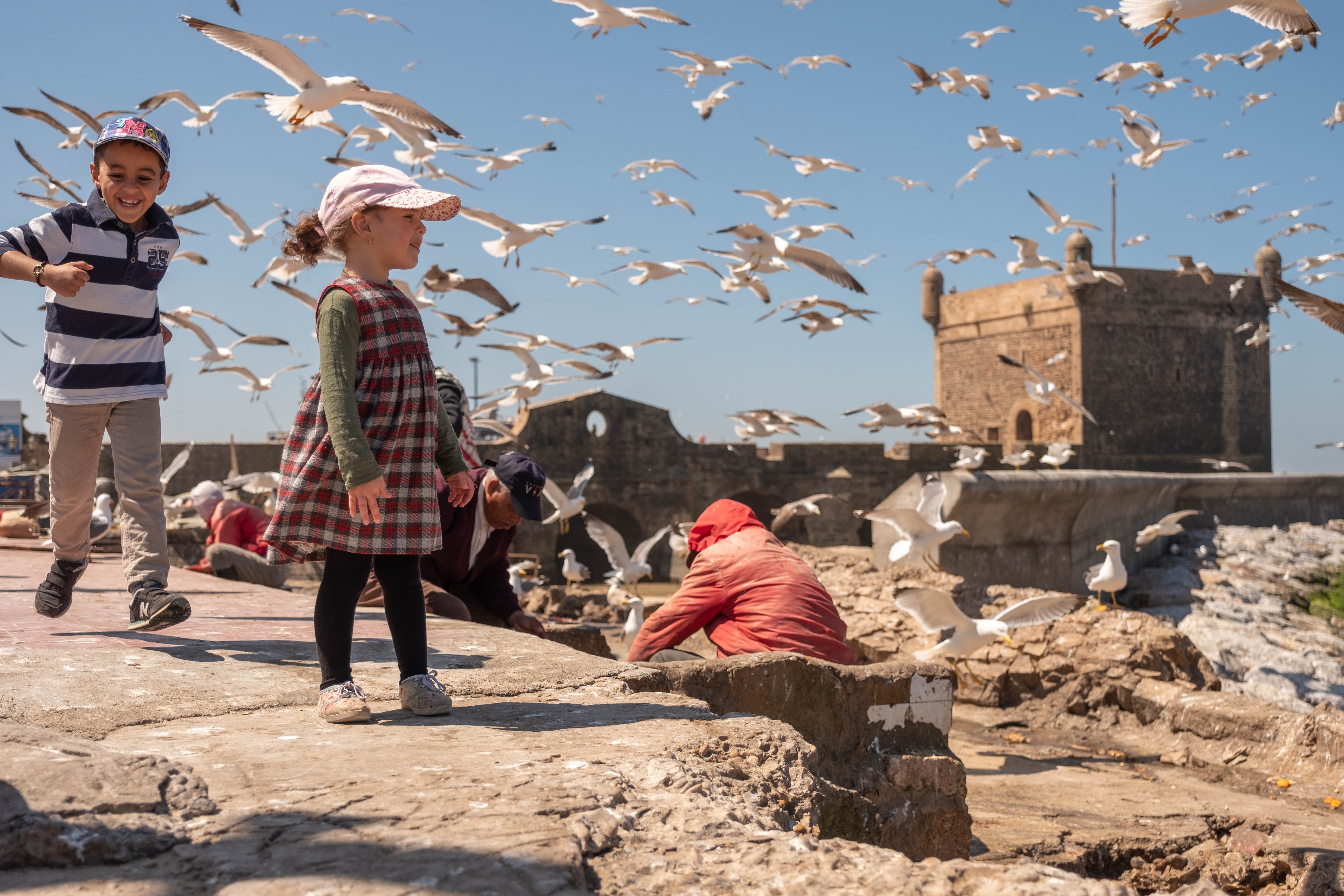morocco, ocean, esauira, travel, people, real people, sky, dom, birds, building exterior, leisure activity, outdoors, essaoira, marruecos, females, fish, HD Wallpaper